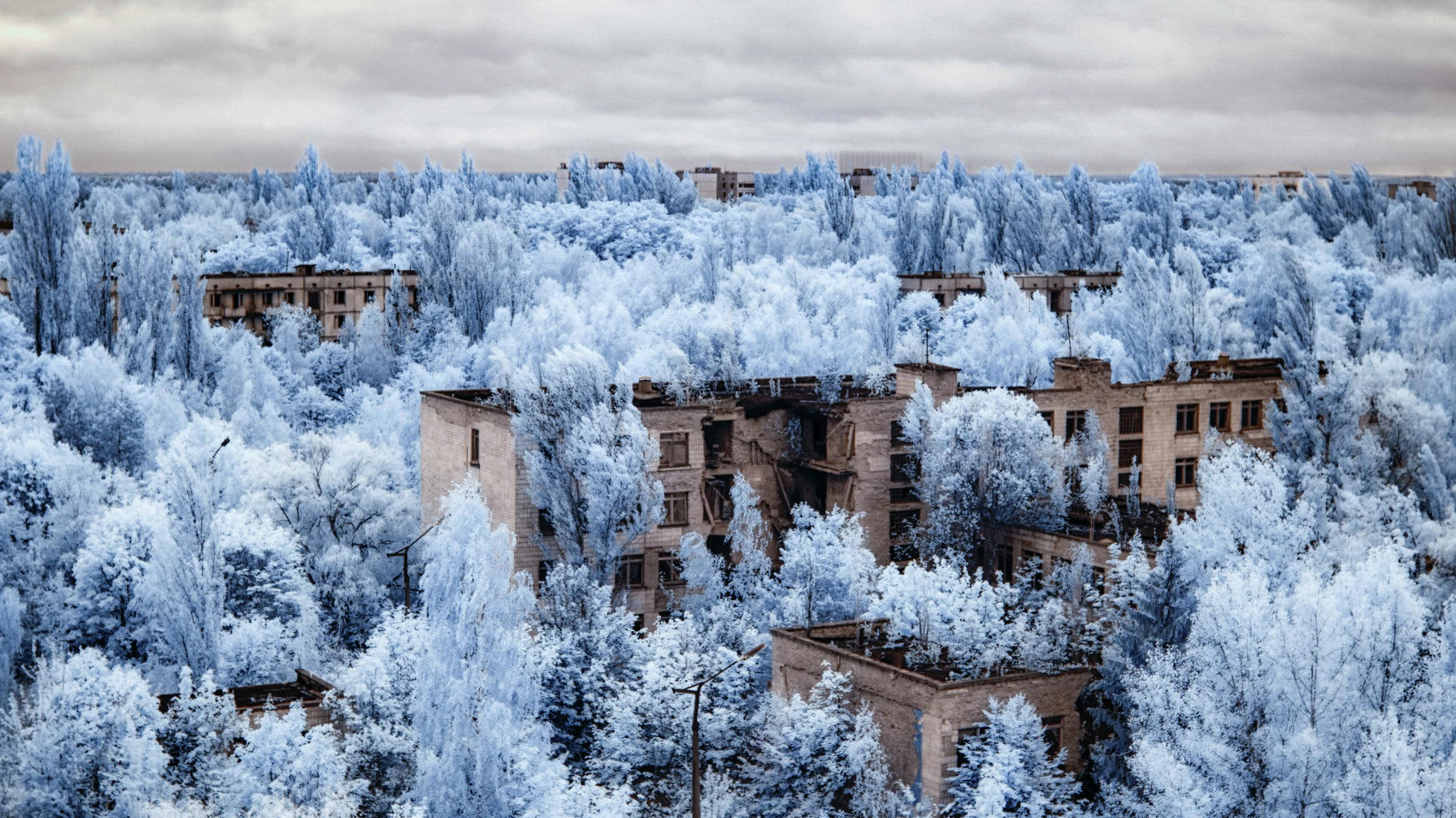 Vor dem Super-Gau von Tschernobyl am 26. April 1986 lebten in Prypjat knapp 50'000 Menschen. Heute ist der Ort eine Geisterstadt.