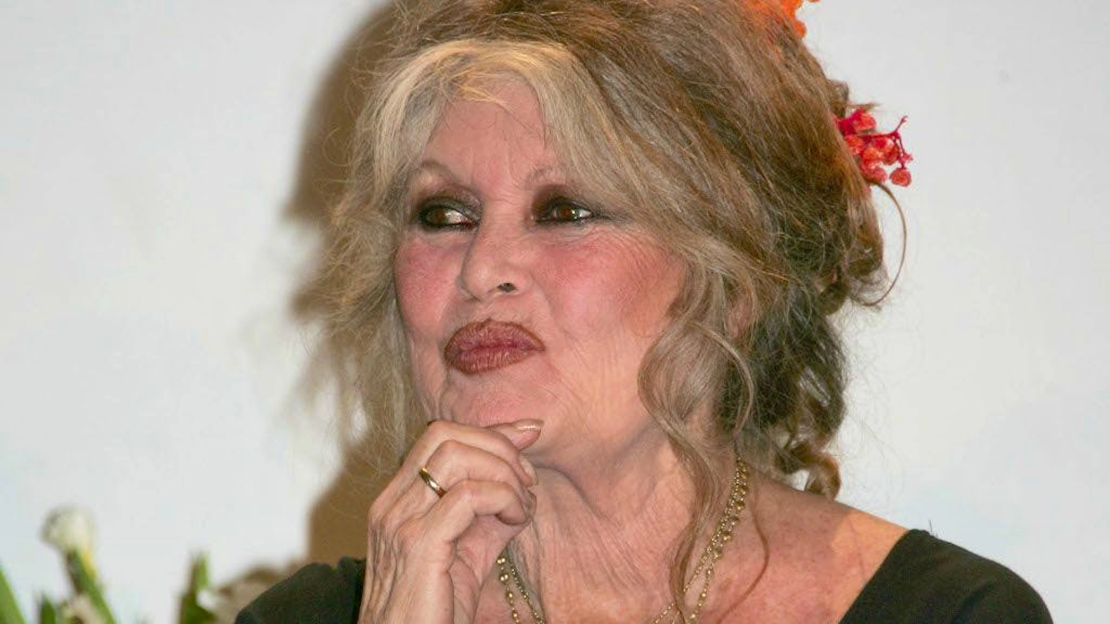 Brigitte Bardot avait renoncé au cinéma en 1973 pour se consacrer entièrement au combat de sa vie, la cause animale (archives).