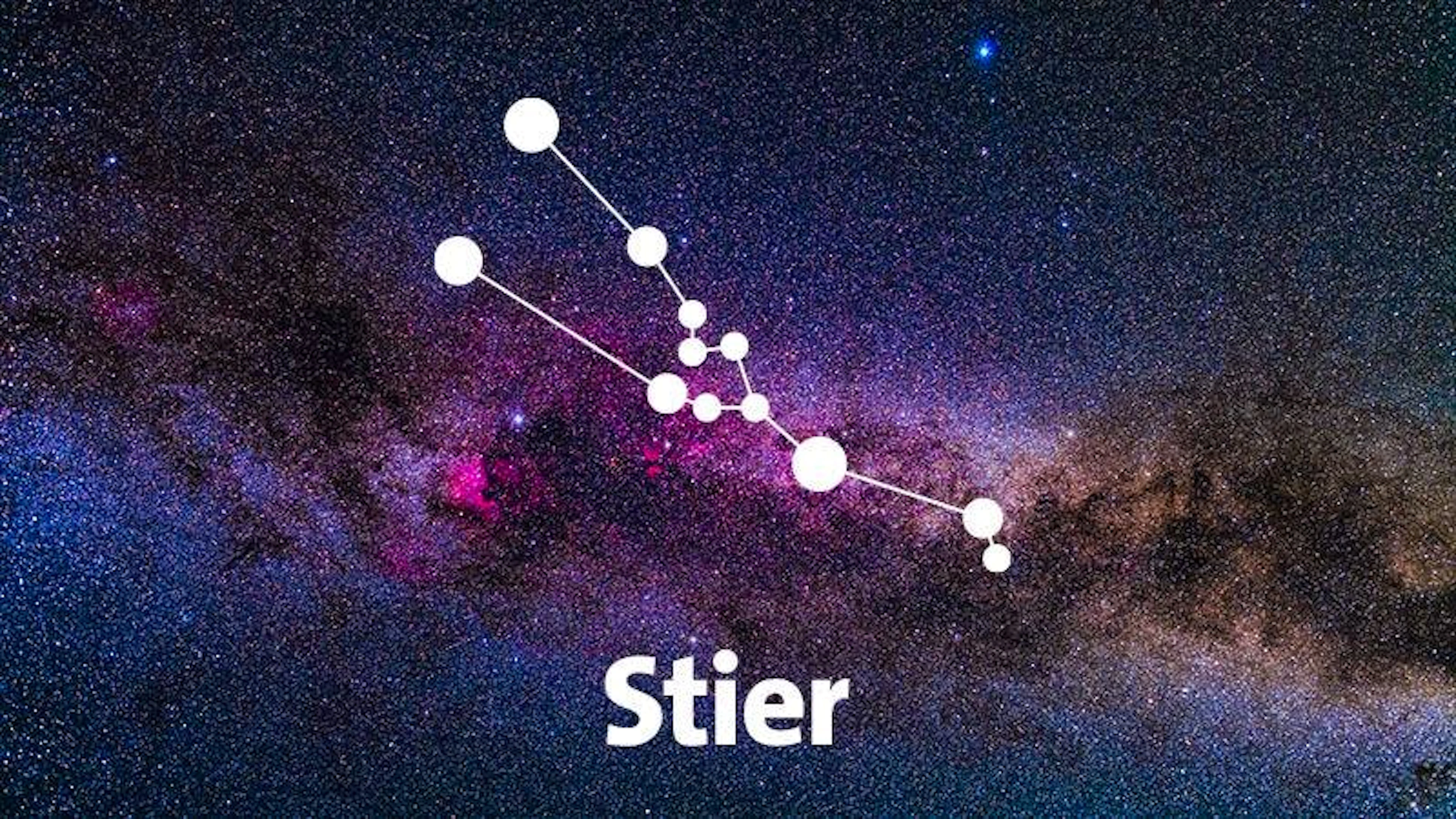 Monica Kissling: «Stiere wollen sich beruflich erden»