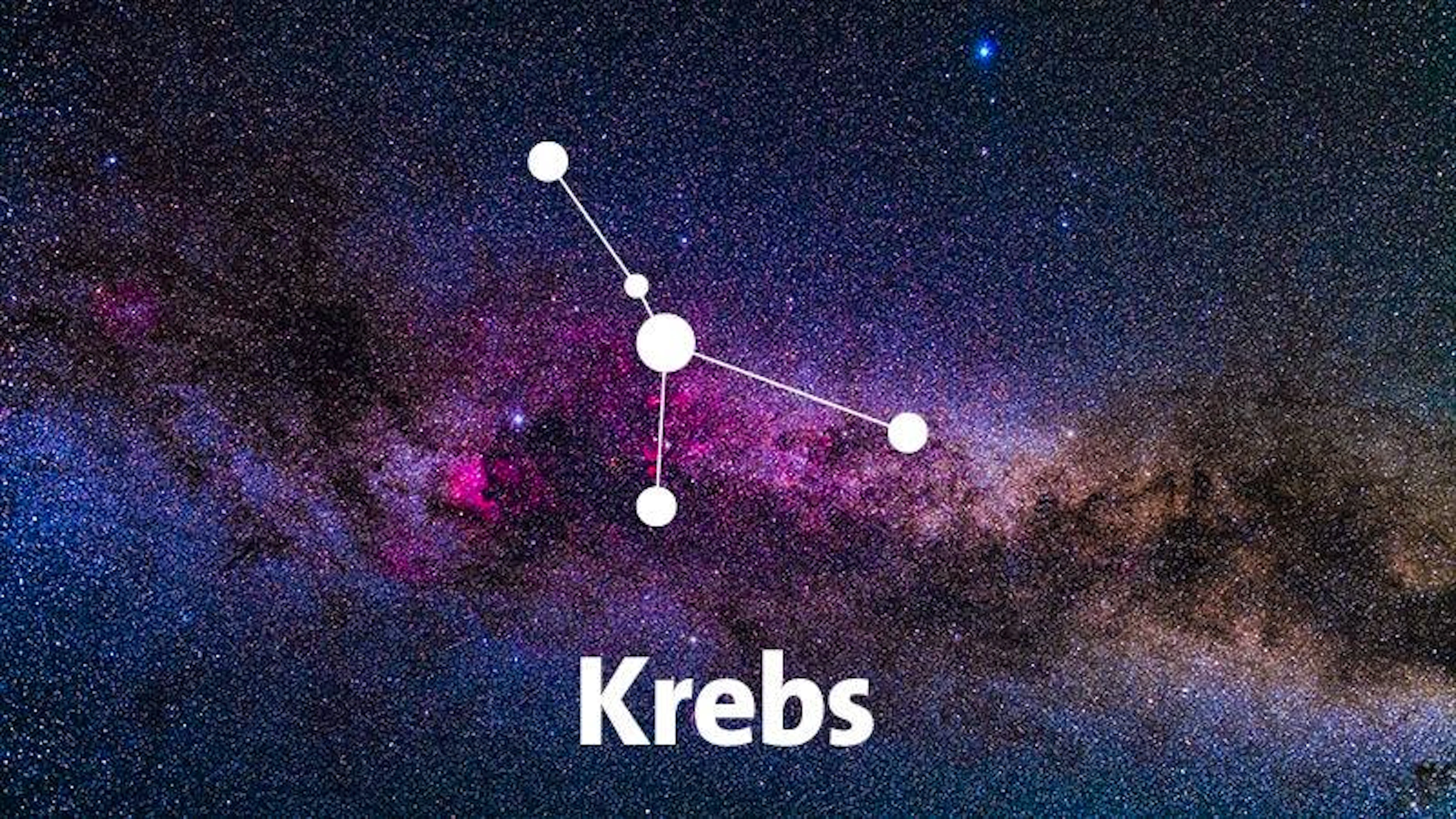 Monica Kissling: «Krebse sollten ihr Herz als Kompass nutzen»
