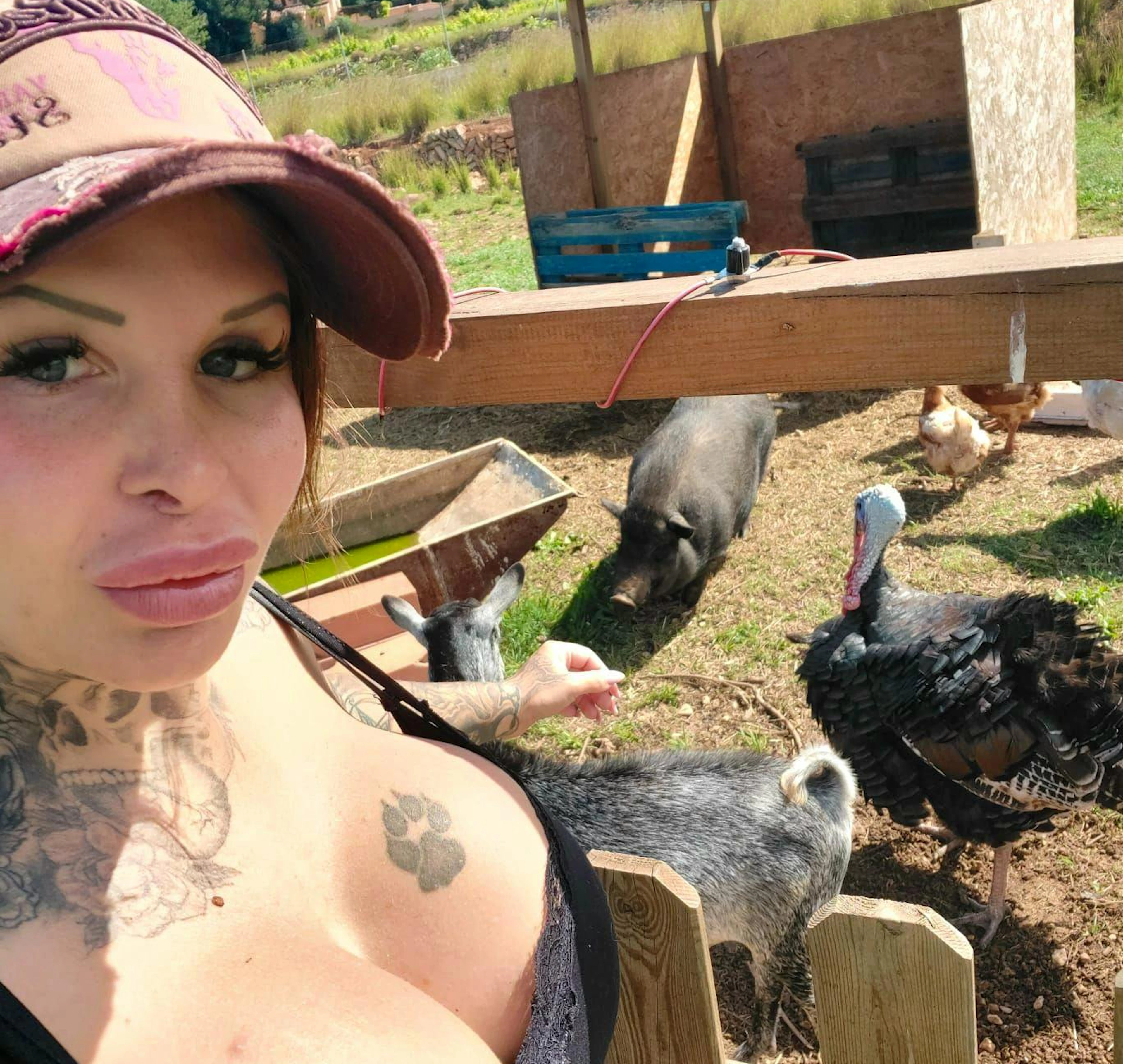 «Ich denke, bei Tier-Gesetzen würde ich im Sinne der Tiere auch gegen die Mehrheit der Menschen handeln»: Aviva Rocks.