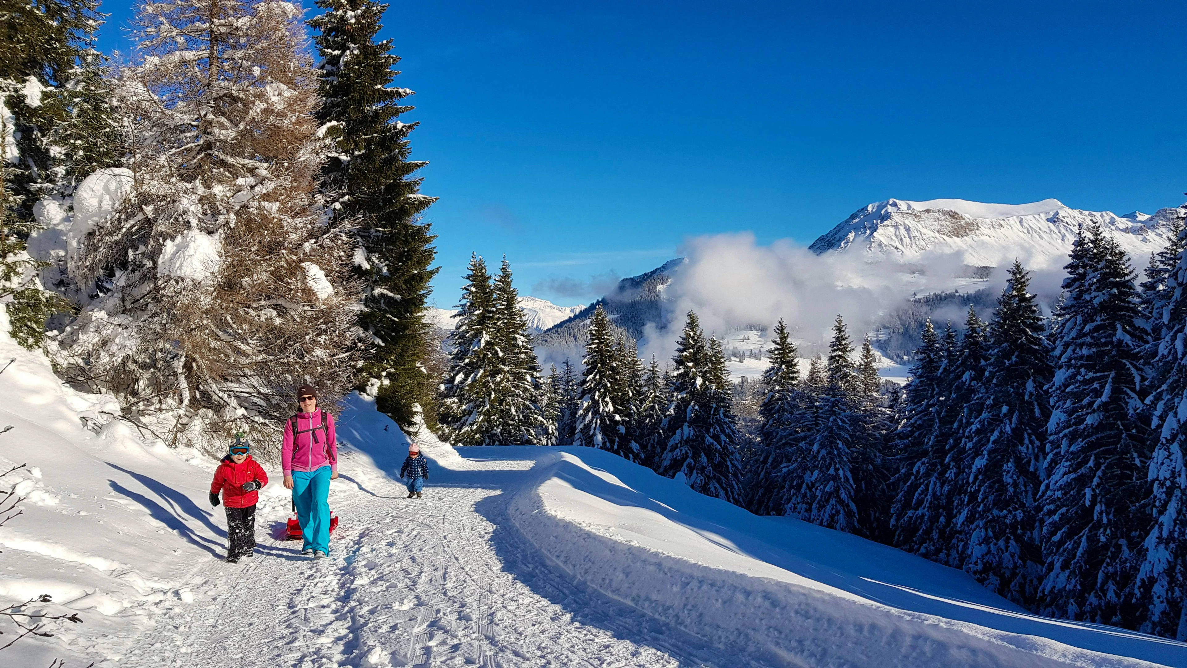 Für Familien schon fast ein Klassiker: der Winterwanderweg auf Brambrüesch.