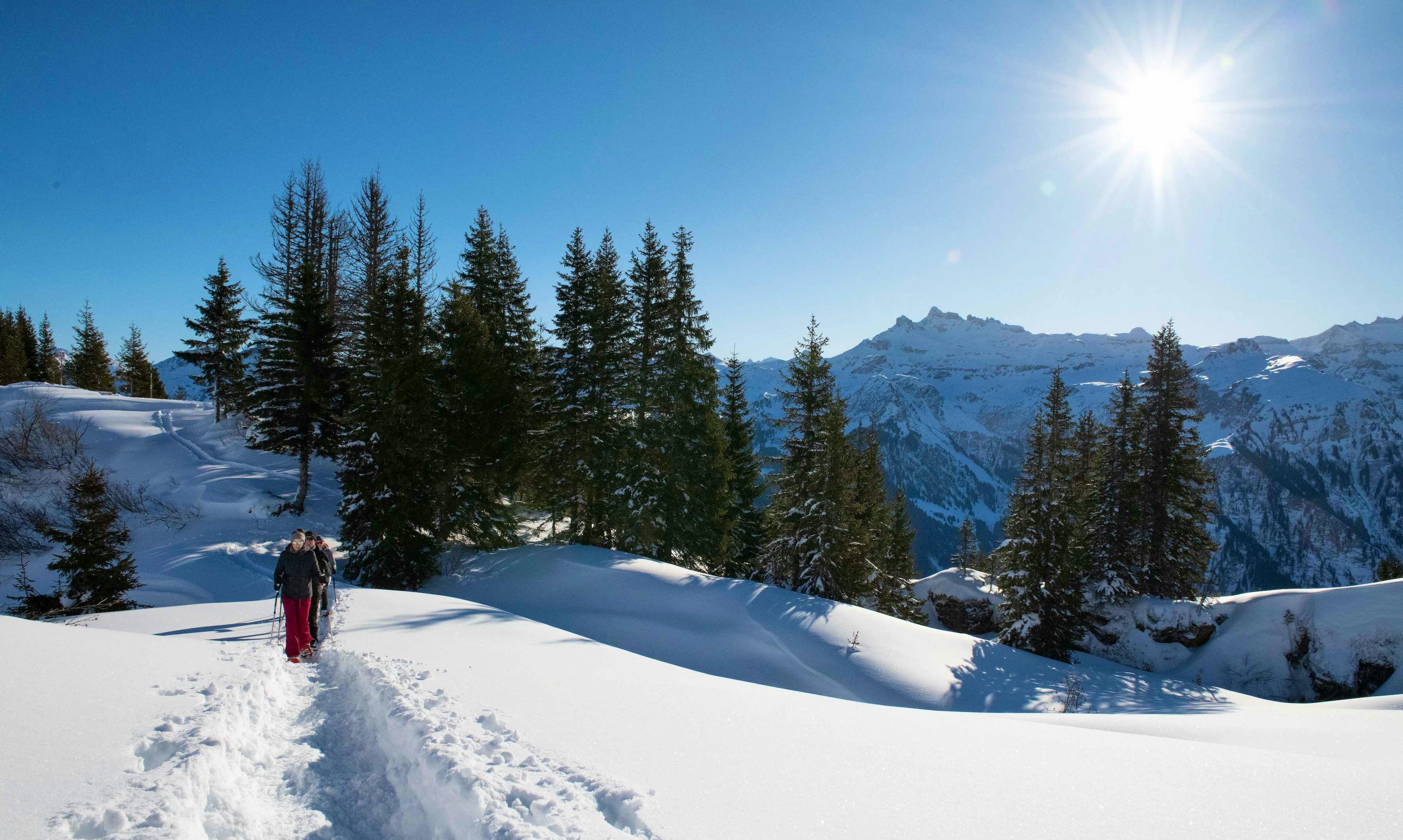 Wanderung auf dem Braunwald Panoramaweg mit Sicht ins Glarnerland und die Glarner Alpen.