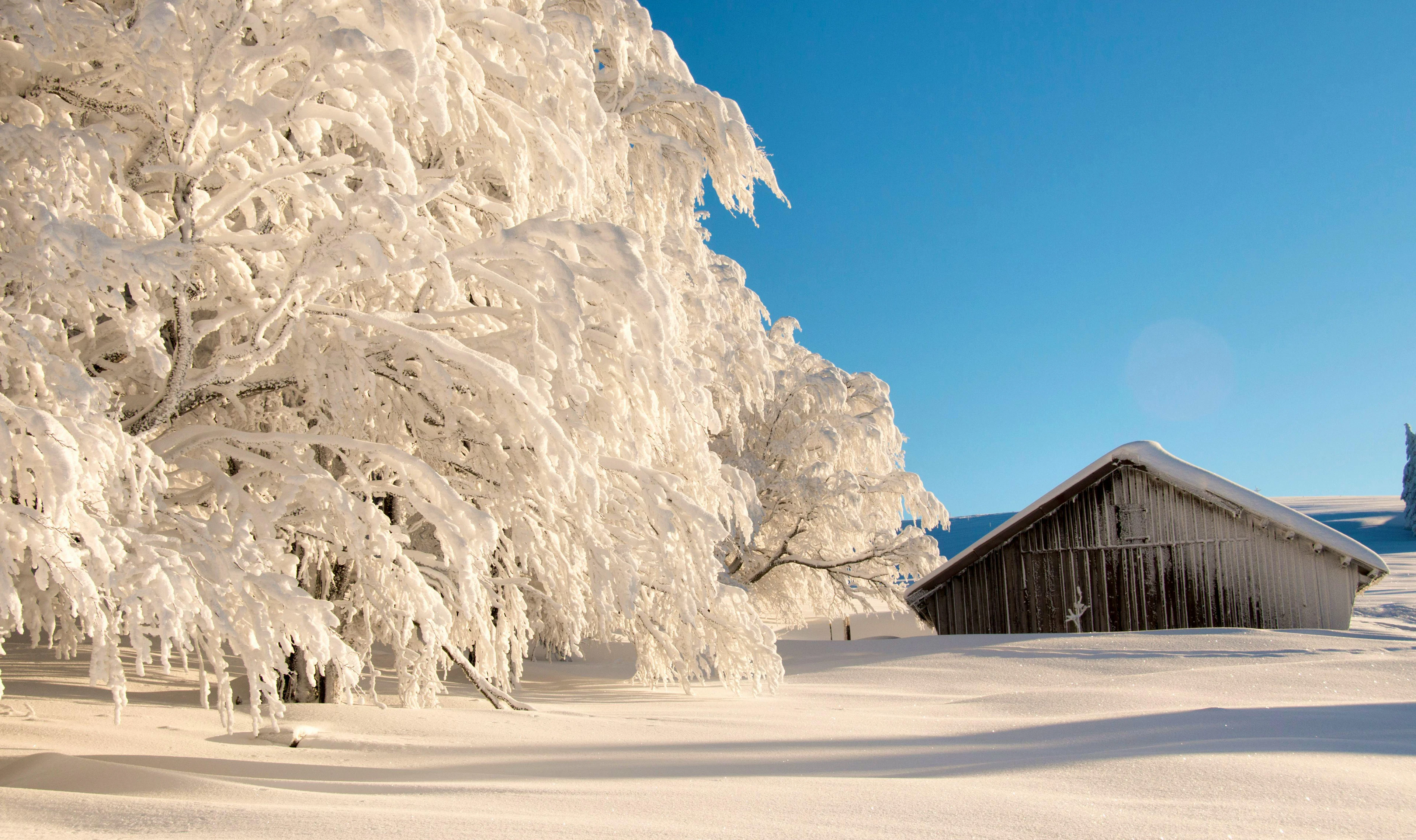Auf diesem Winterwanderweg kann man dem Grau unten entfliehen.