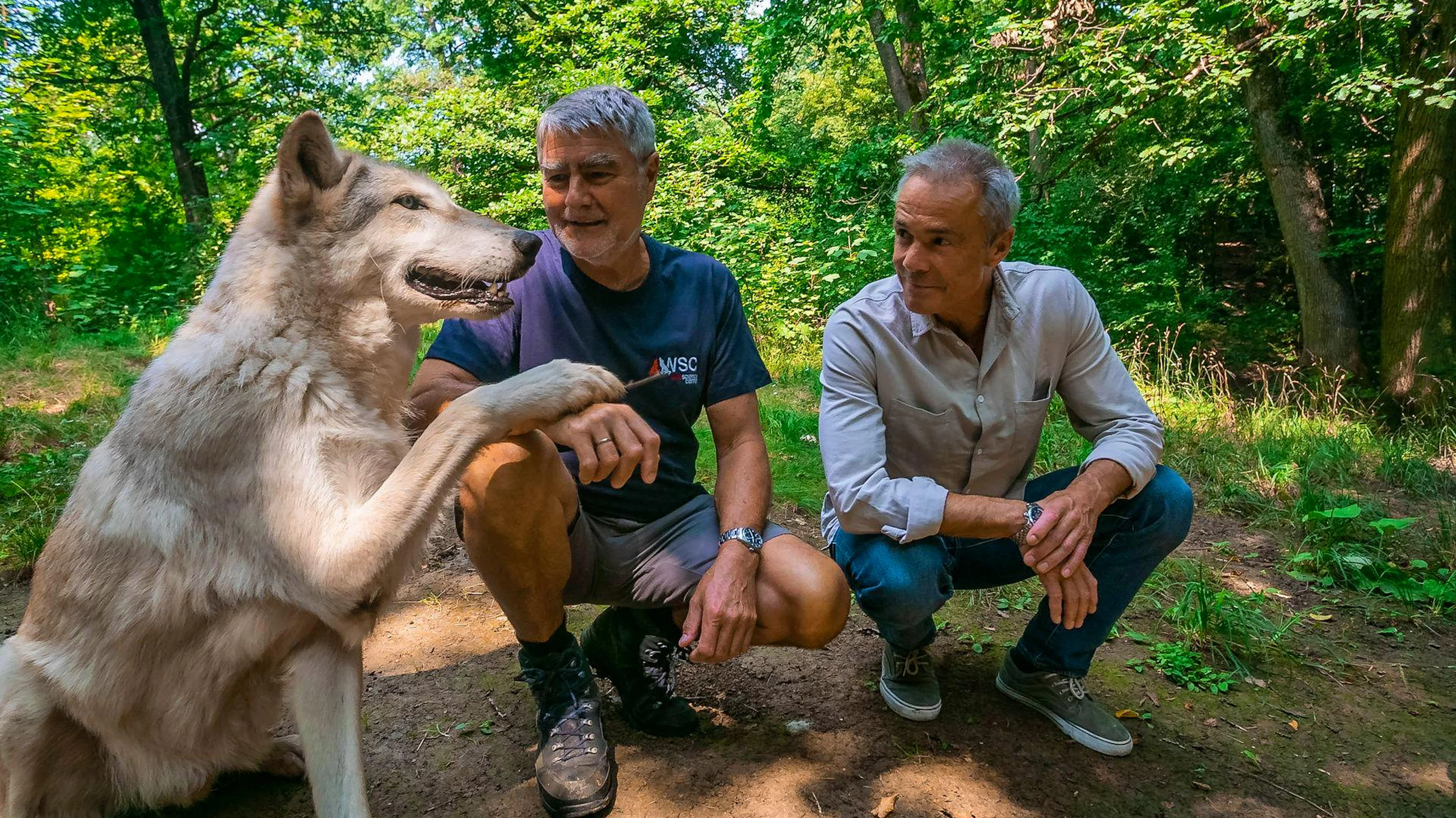 Hannes Jaenicke (rechts) mit dem Wissenschaftler Kurt Kotrschal im Wolf Science Center in Ernstbrunn, Österreich. Kotrschal und seine Kolleginnen haben alle «wissenschaftlichen» Wolfs-Mitarbeiter per Hand aufgezogen.