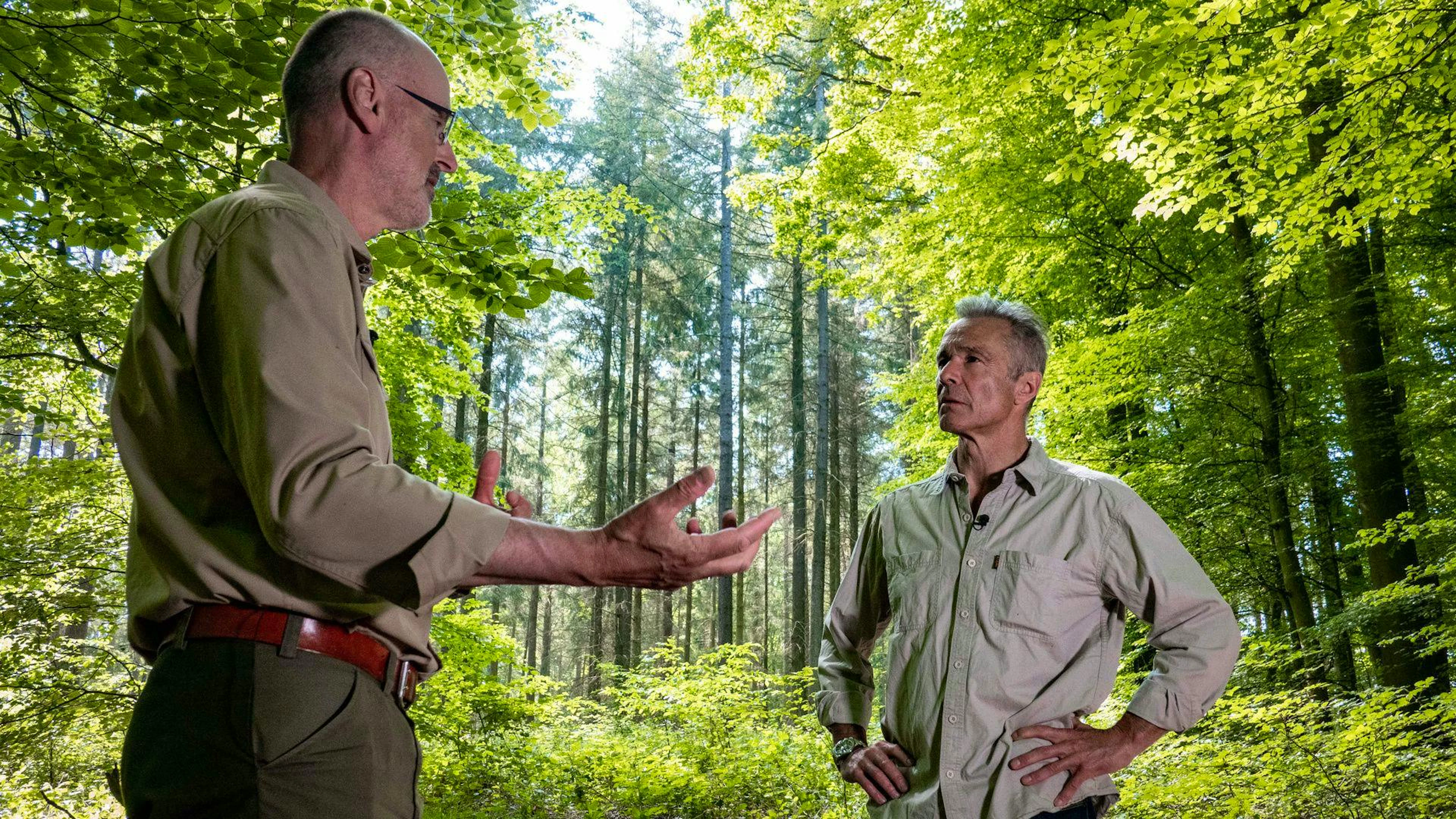 Hannes Jaenicke im Gespräch mit Förster Peter Wohlleben während der Dreharbeiten in «Wohllebens Waldakademie»&nbsp;in Wershofen, Deutschland.
