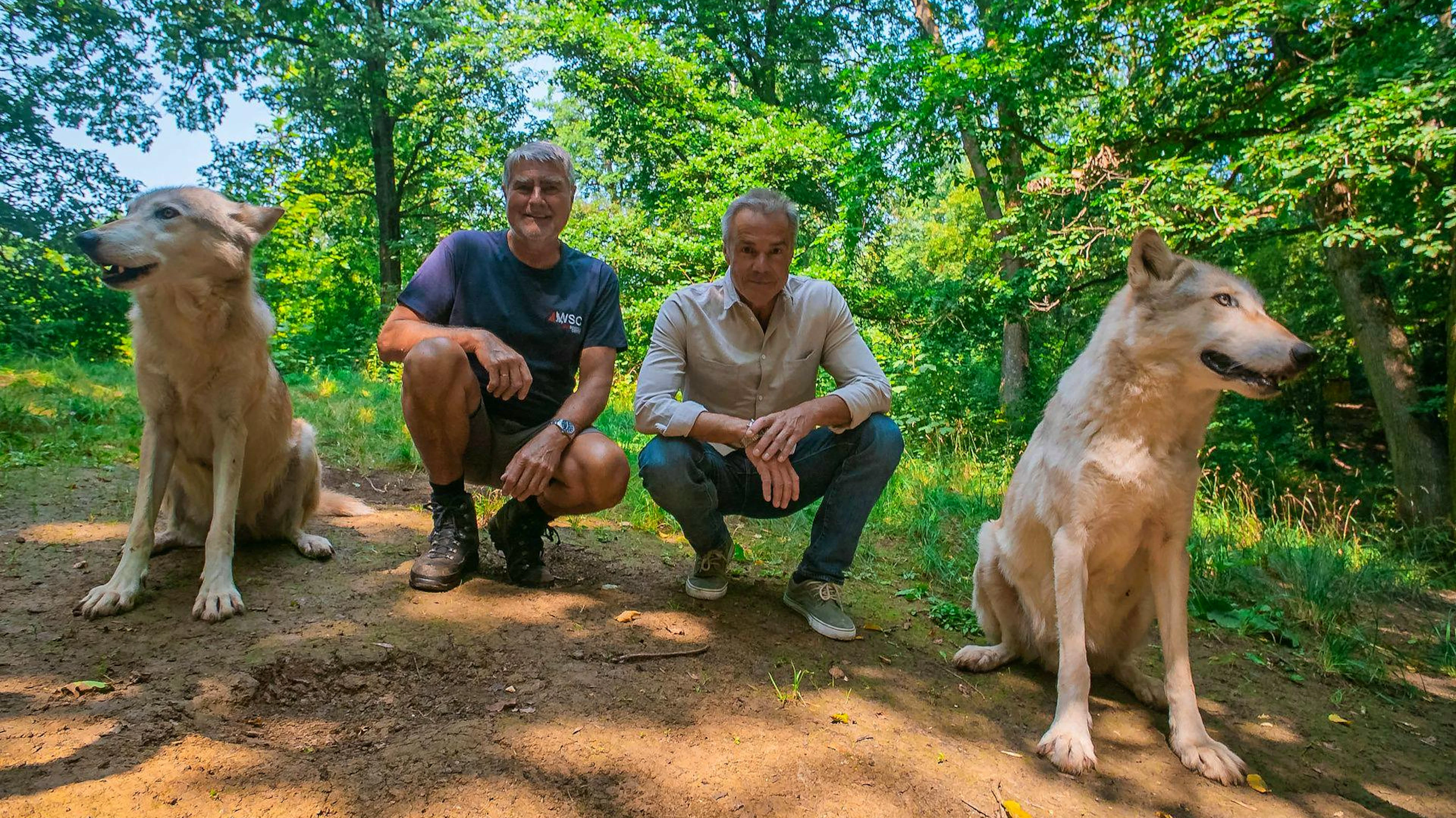 «Wenn wir in einem gesunden ökologischen Gleichgewicht leben wollen, müssen wir dem Wolf genug Platz geben, damit er in Ruhe leben kann»: Hannes Jaenicke zusammen mit Verhaltensforscher Kurt Kotrschal,