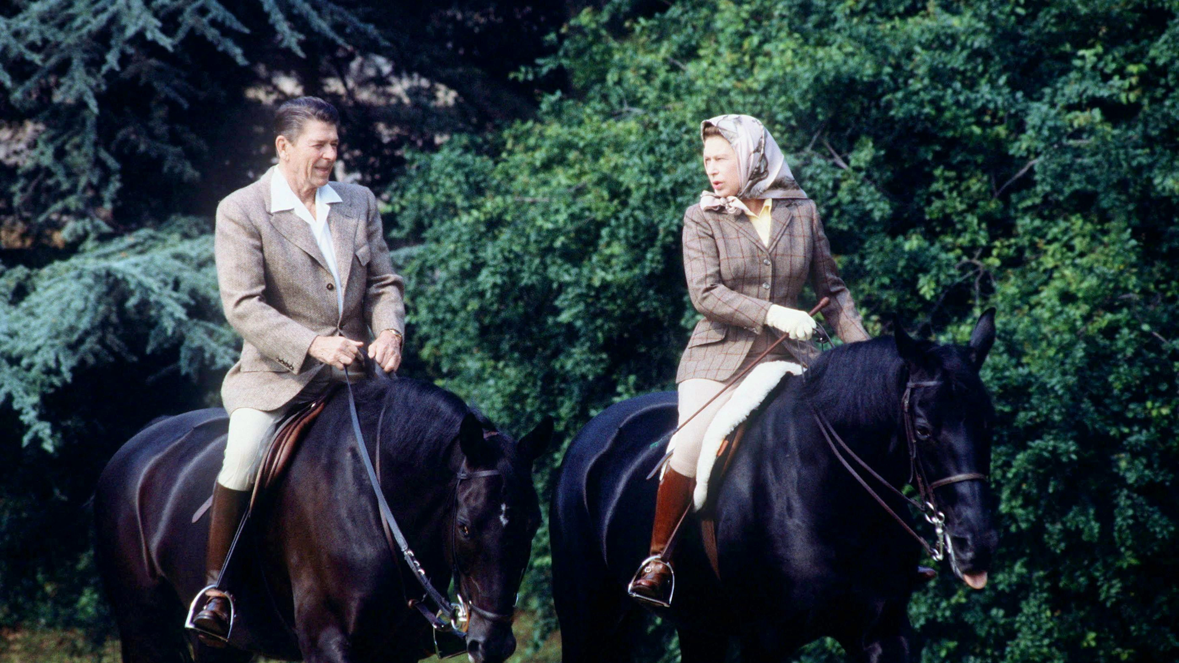 Auch Staatsoberhäupter lädt der royale Pferdefan mal zum gemütlichen Ausritt ein. Hier mit US-Präsident Ronald Reagan in Windsor Castle im Sommer 1982.