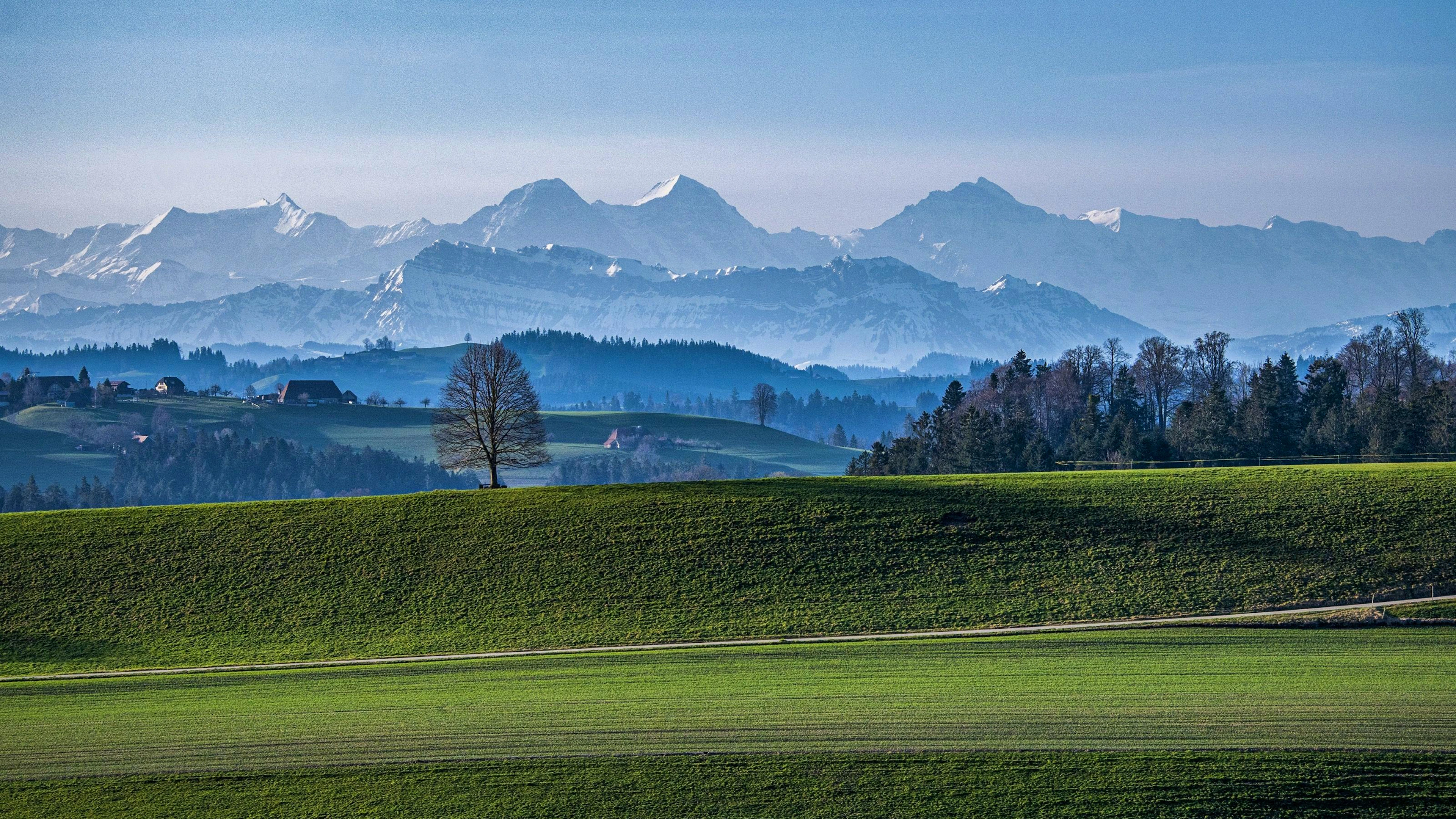 Blick in die Berner Alpen mit Eiger, Mönch und Jungfrau. Die Berge fungieren als gewaltige Wetterscheide.