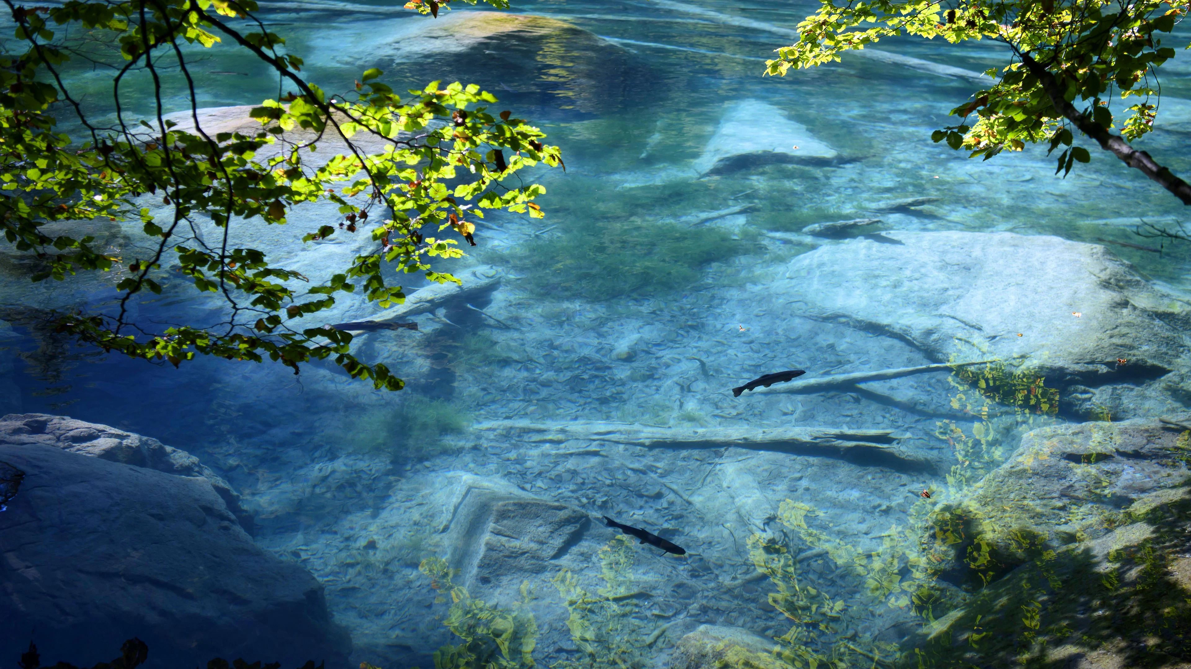 Der Blausee gehört zu den bekanntesten Bergseen der Schweiz.