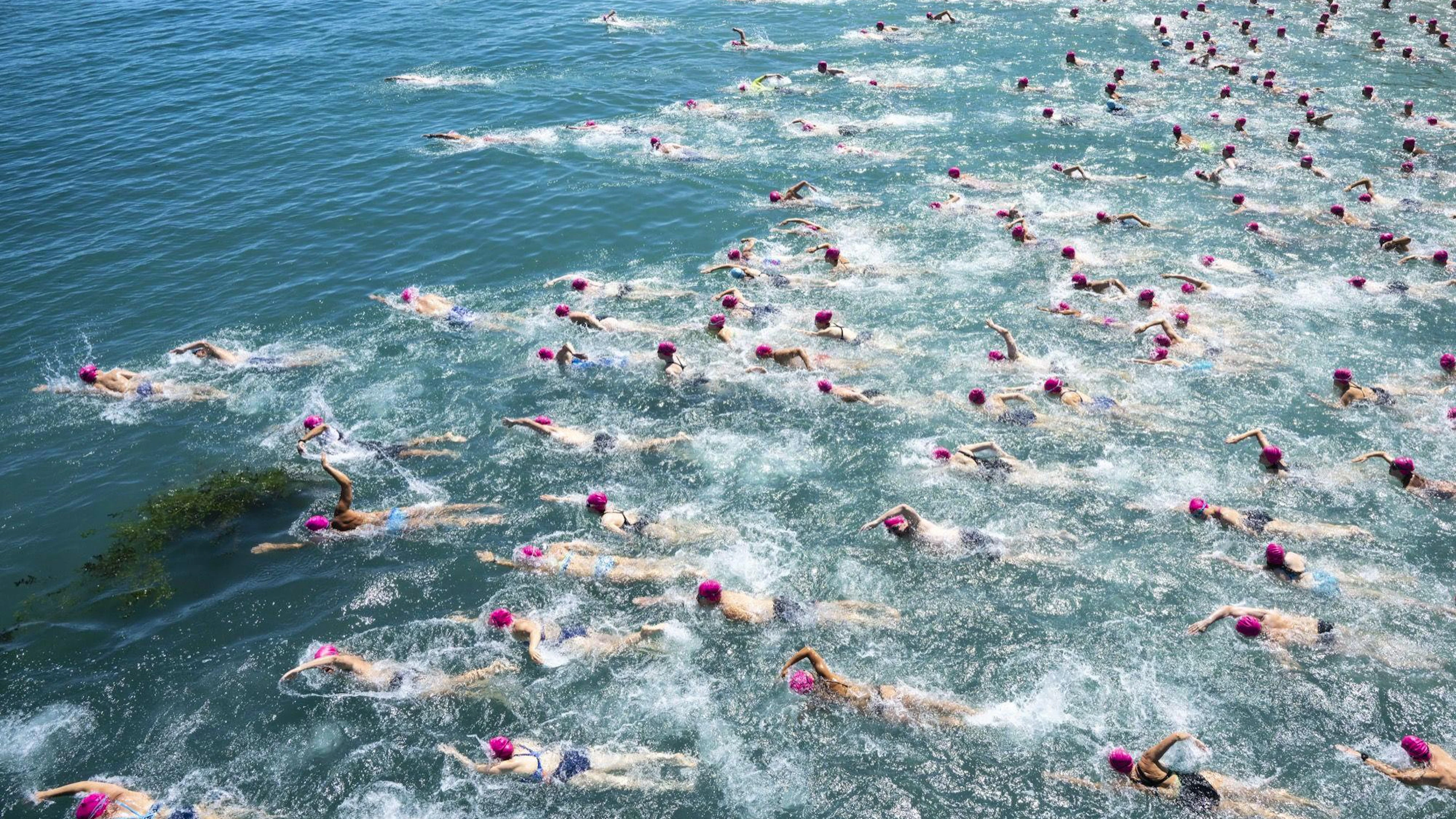 Mehr als 6000 Teilnehmende stürzten sich bei der Stadtzürcher Seeüberquerung 2022 im&nbsp;Strandbad Mythenquai in die halbwegs kühlen Fluten.
