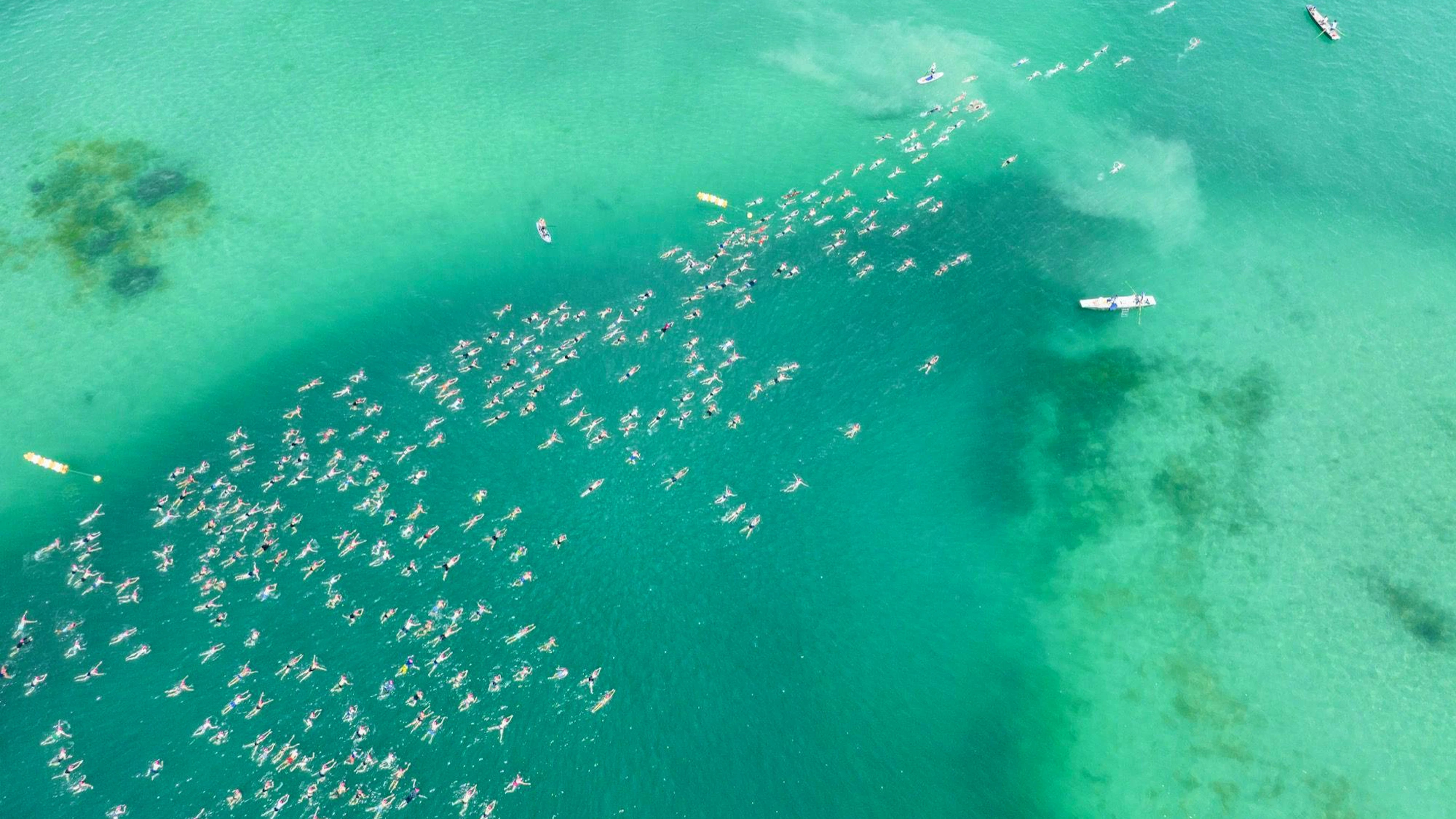 Nach zwei Jahren Coronapause fand die Stadtzürcher Seeüberquerung 2022 bei bestem Schwimmwetter statt.&nbsp;