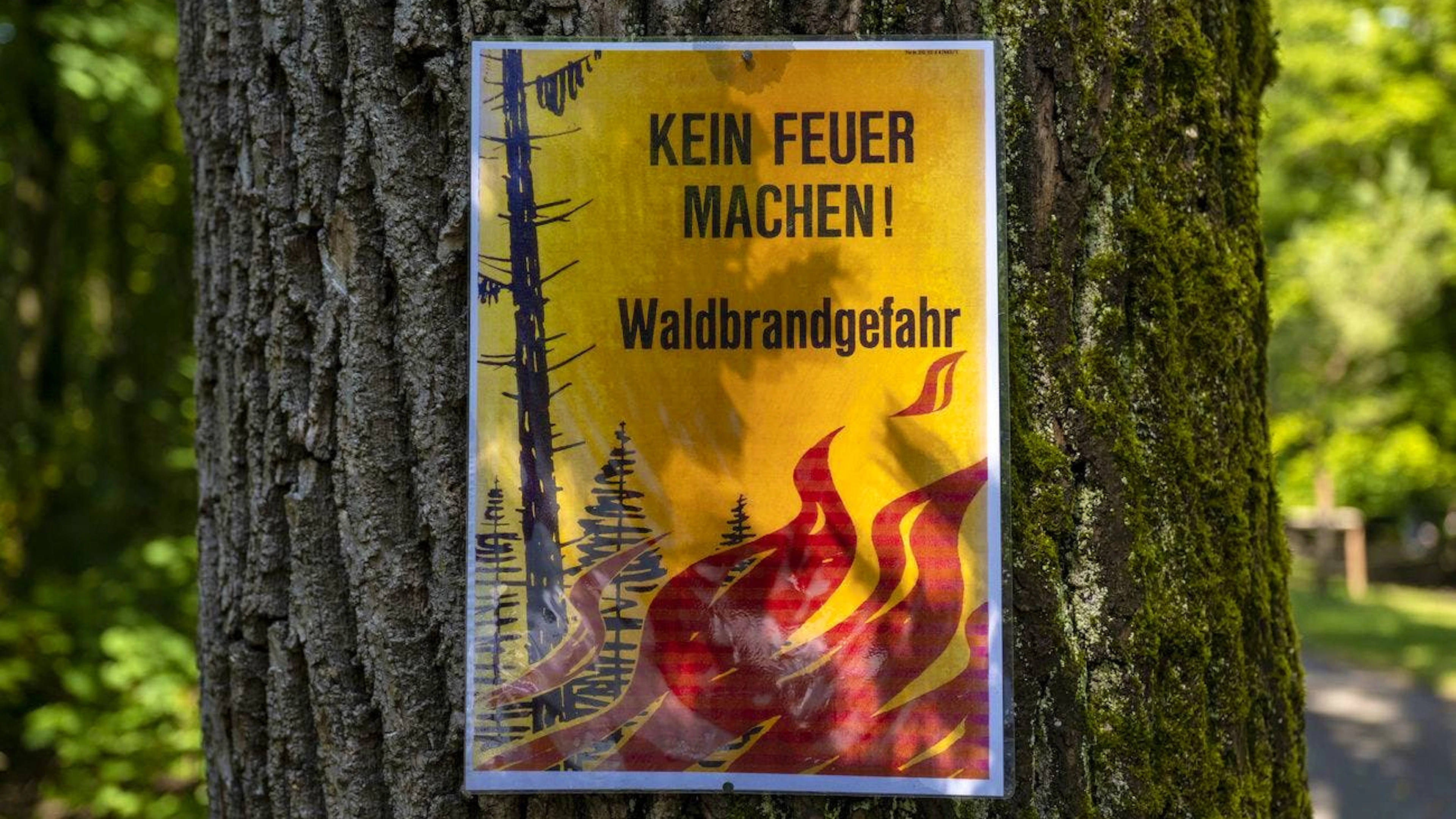 Ein Schild an einem Baum weist darauf hin, dass wegen Waldbrandgefahr kein Feuer entfacht werden darf. Durch die Klimakrise immer häufiger werdende überdurchschnittliche Hitzeperioden führen zu einer vermehrten Austrocknung und somit zu Waldbrandgefahr. Solche Hitzeperioden sind für die Initianten einer der Gründe zur Lancierung der Umweltverantwortungsinitiative.