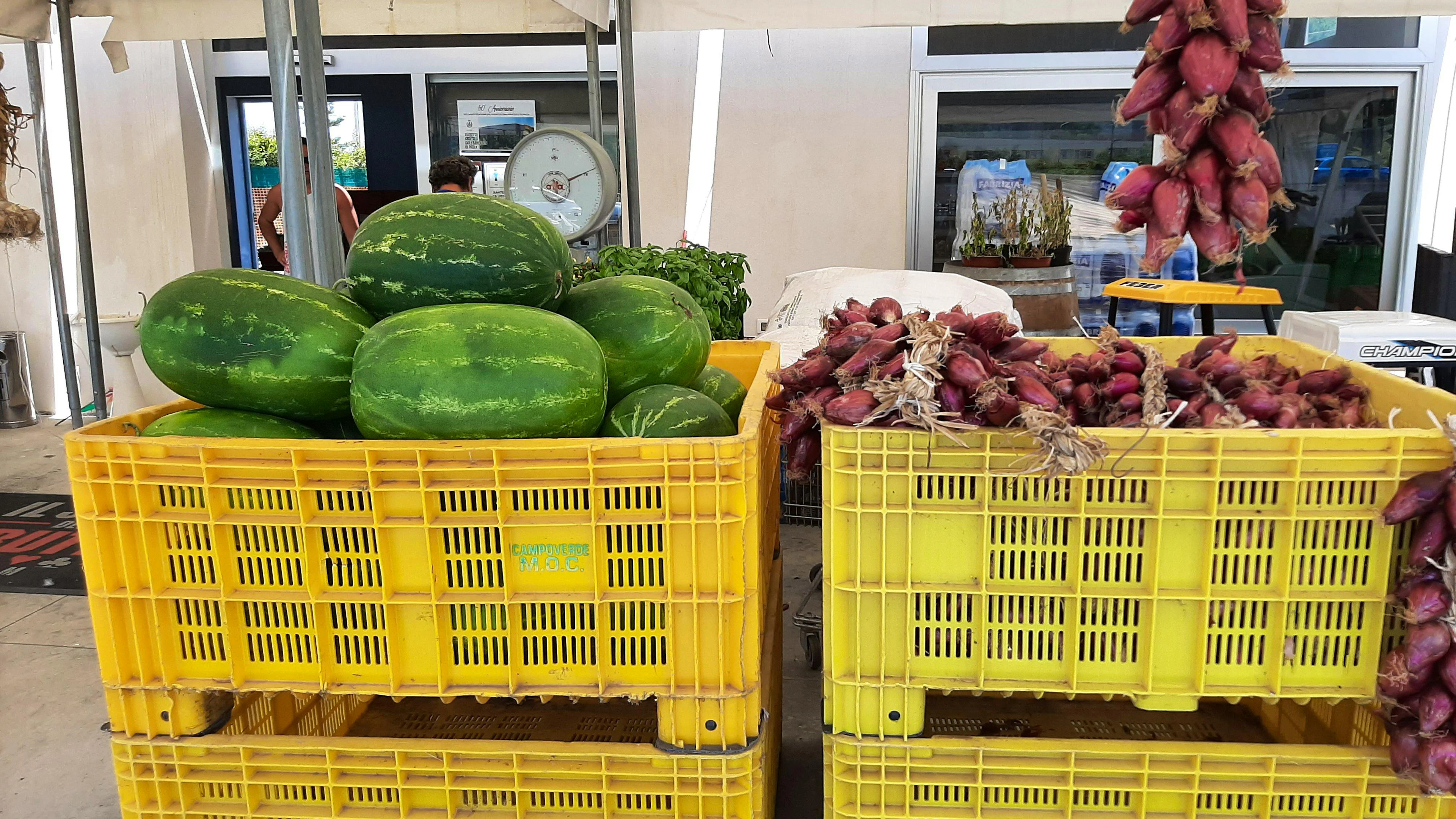 Le famose cipolle di Tropea con tutti i loro profumi.