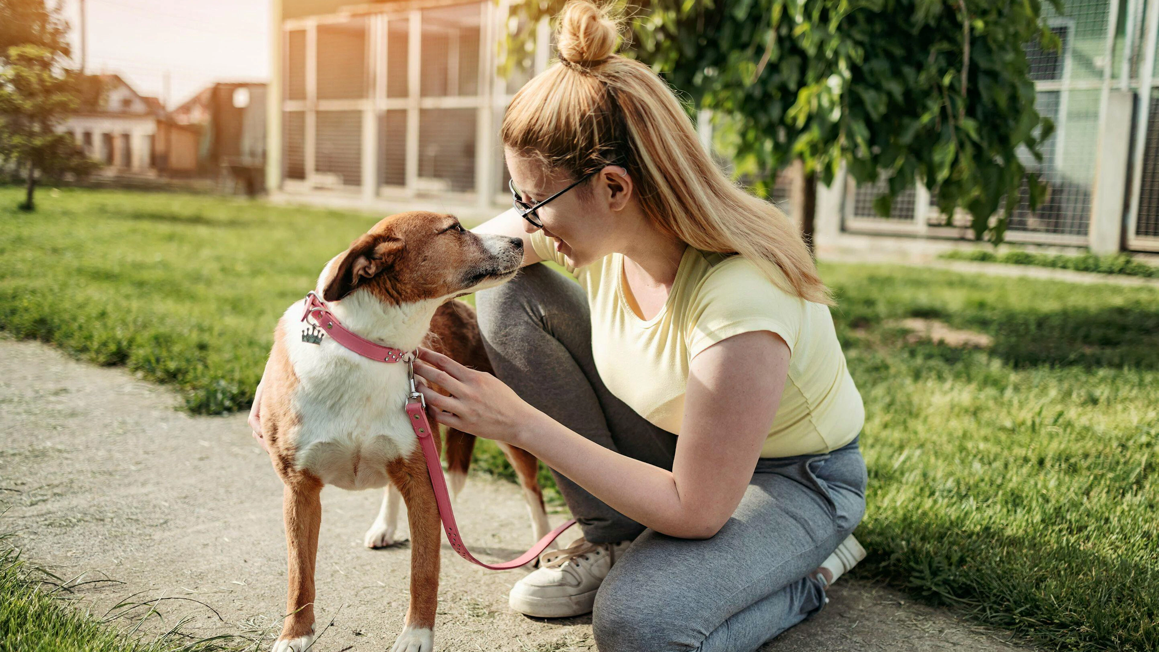 Faire certaines activités avec un chien peut favoriser la relaxation, la stabilité émotionnelle, l'attention, la concentration et la créativité, selon une étude sud-coréenne.
