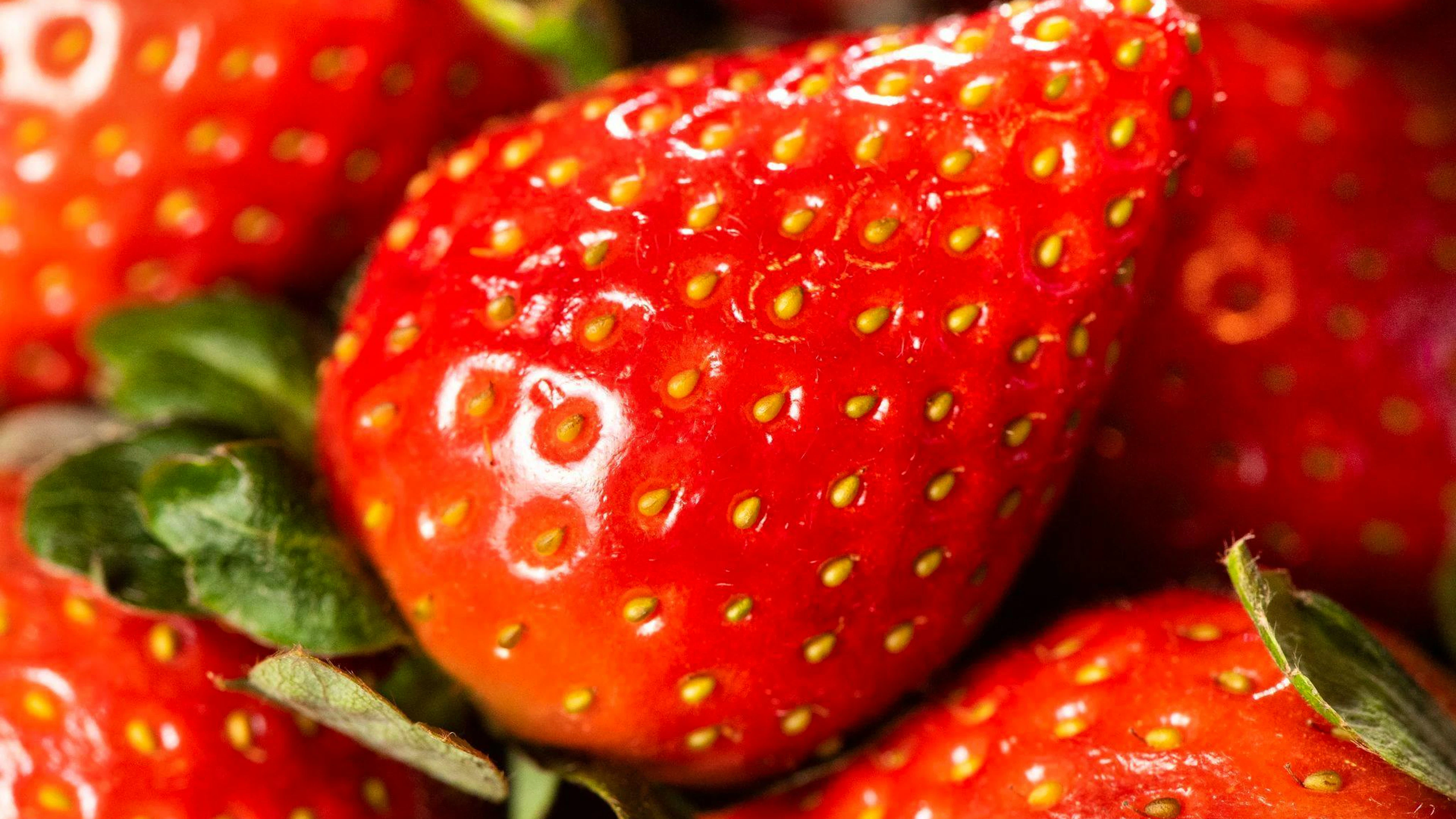 Erdbeeren unterstützen die Funktion der Bauchspeicheldrüse.