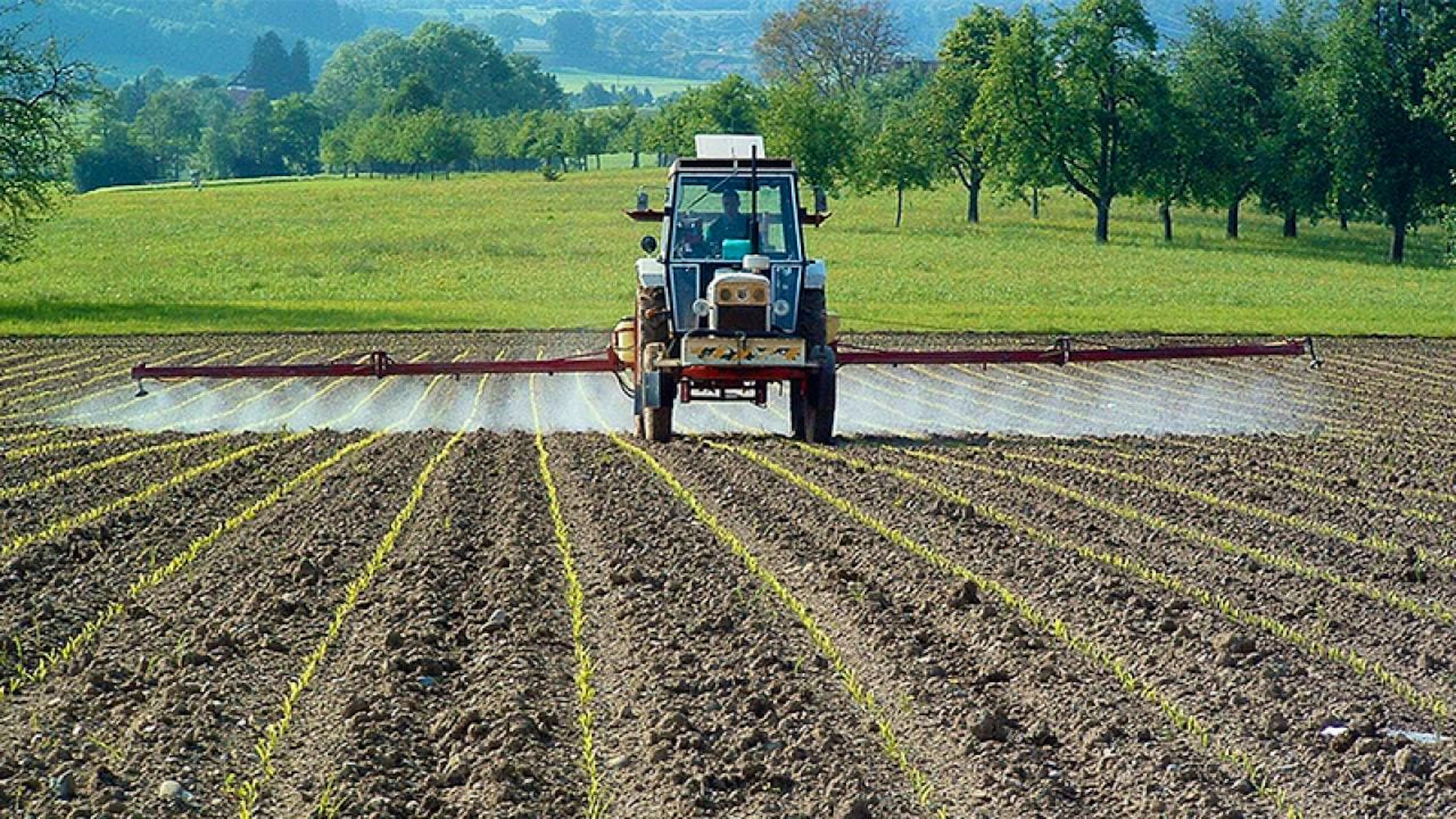 In Switzerland, fluazinam is used to control fungal diseases in potato, fruit, onion, and grapevine cultivation, among other applications.