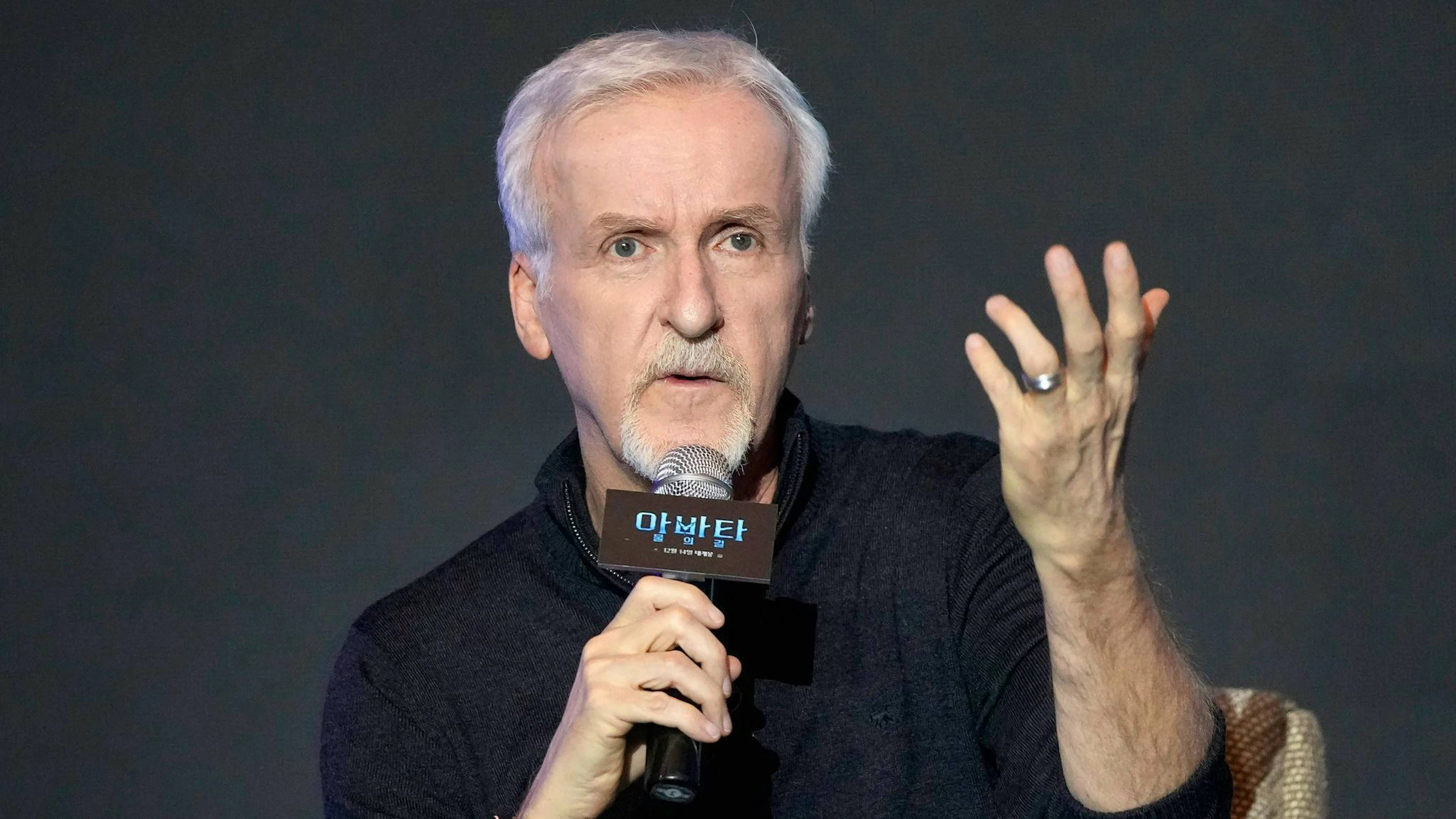 In einem Interview mit der französischen Ausgabe von «20 Minuten» erzählt er nun von einem Stamm der Na'Vi, wie er sie sich im dritten Teil vorstellt.