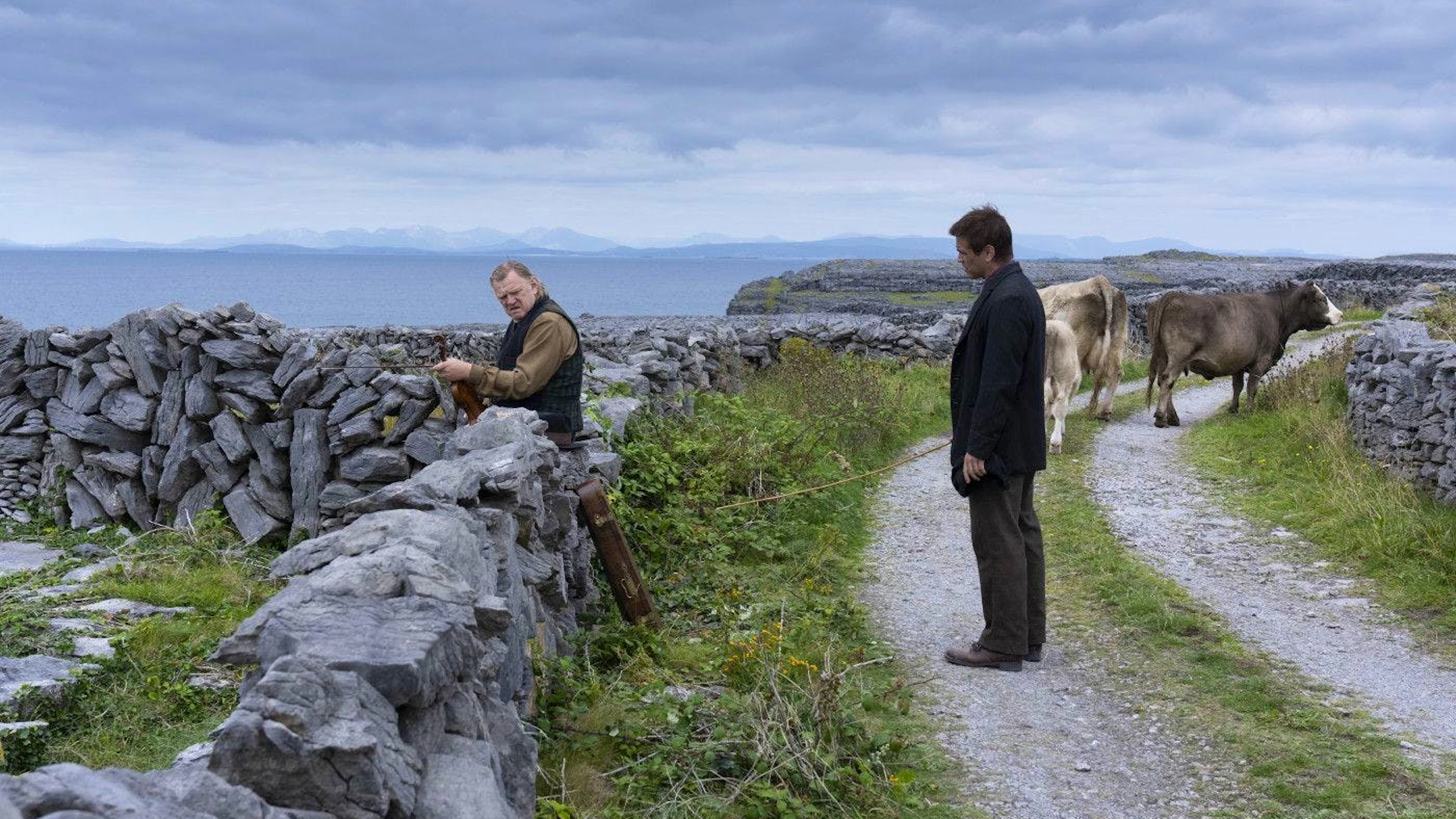 Eigentlich sind Pádraic Súilleabháin (Colin Farrell) und Colm Doherty (Brendan Gleeson) beste Freunde. Doch Doherty will plötzlich nichts mehr mit Súilleabháin zu tun haben.&nbsp;