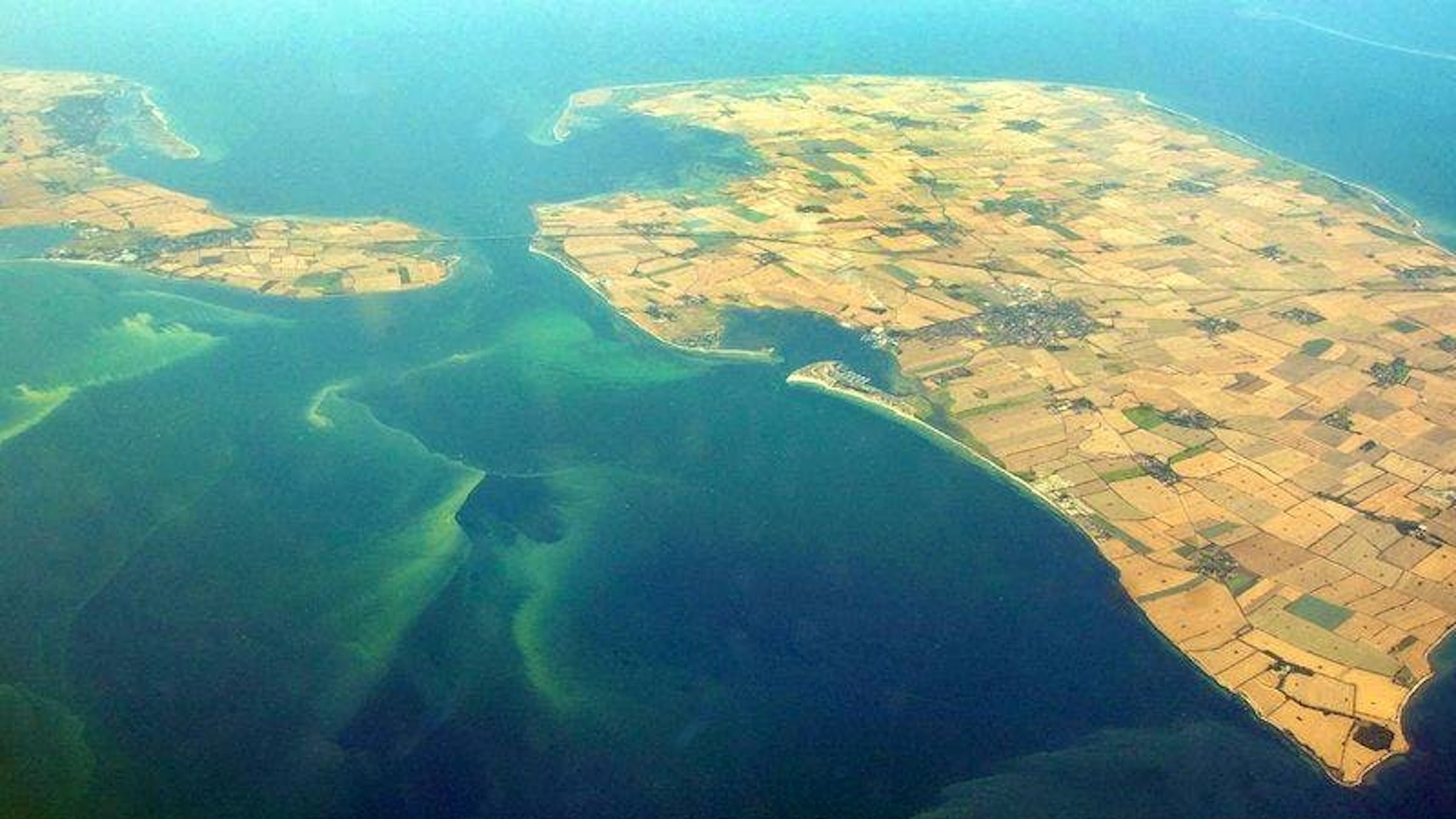 ... und die Bildung von Algenteppichen wird begünstigt, wie hier vor der Küste des norddeutschen Bundeslands Schleswig-Holstein.&nbsp;