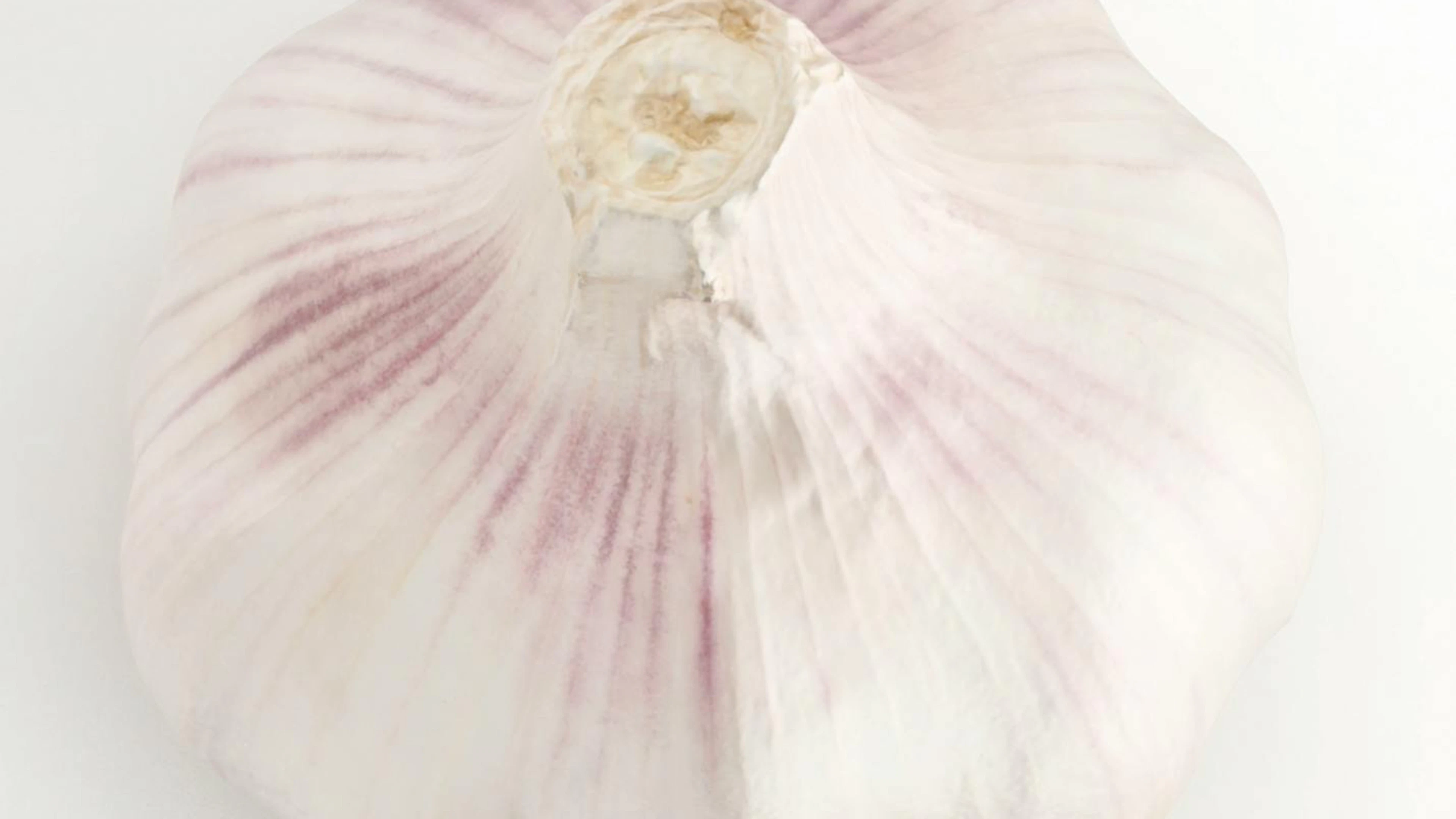 Wundermittel Knoblauch.