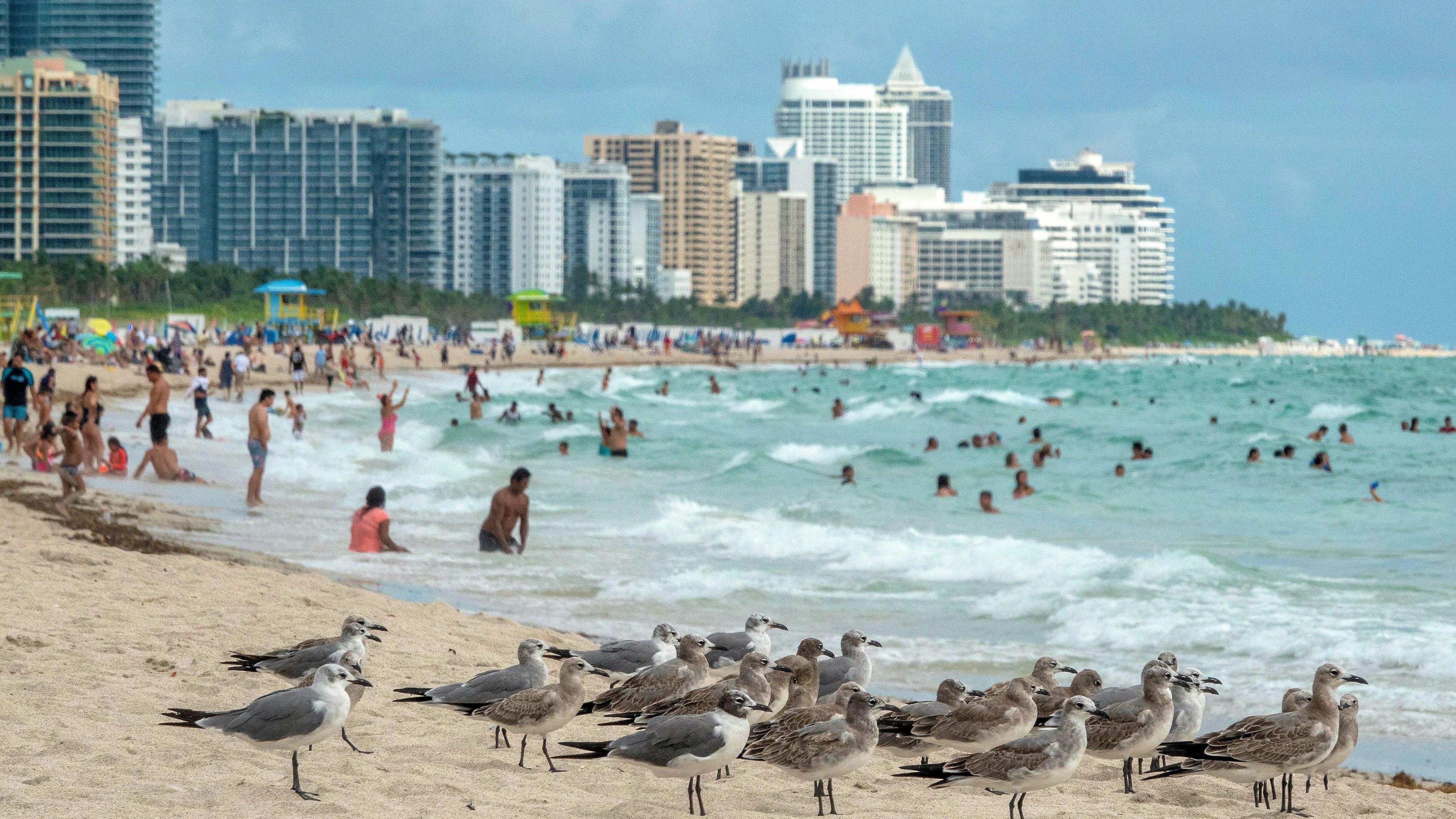 In Miami Beach, Florida, haben US-Behörden einen Mexikaner dabei erwischt, wie er für Russland einem Überläufer nachspioniert hat.