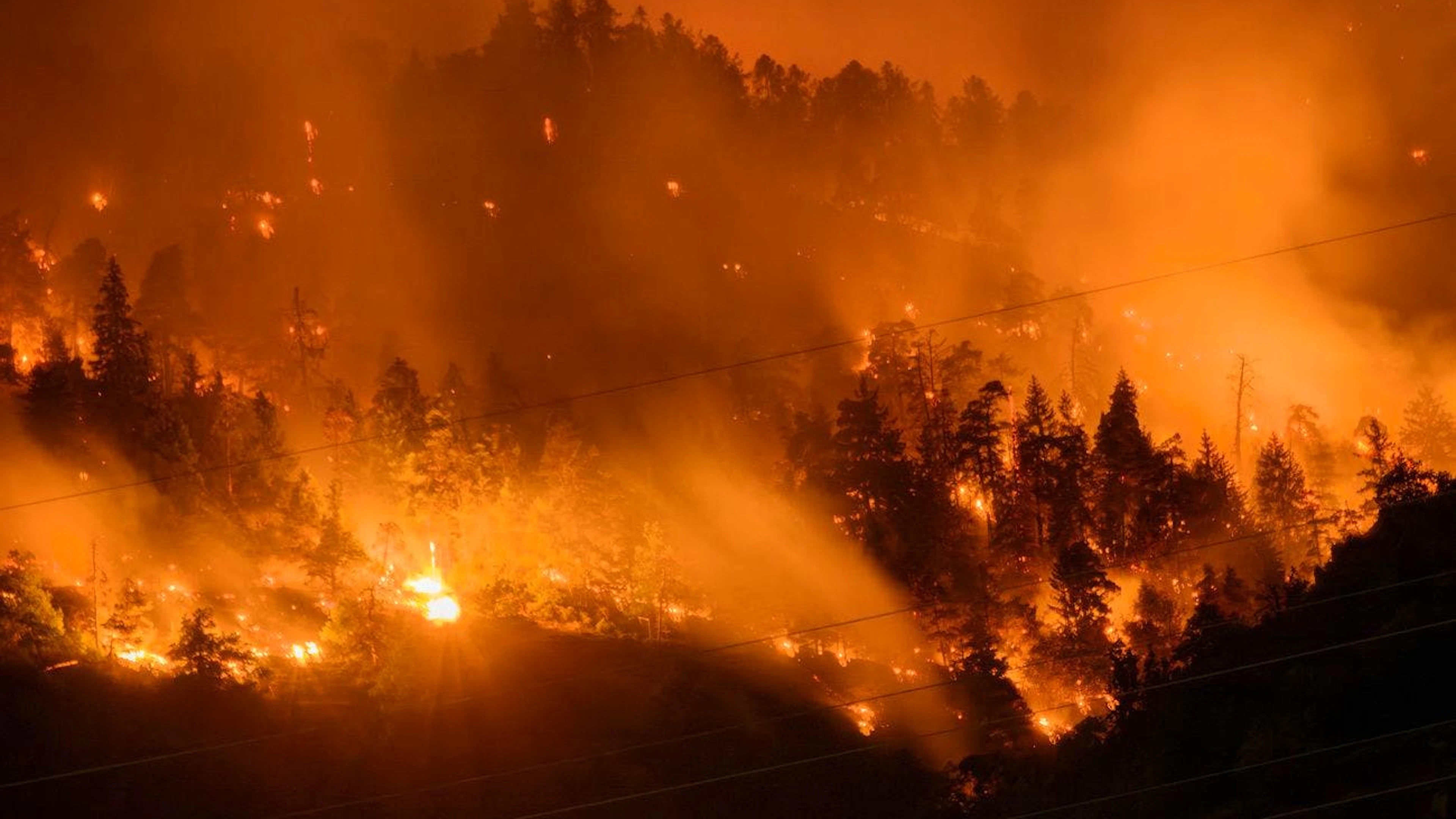 Und: Auch Waldbrände werden nur noch zunehmen. Im Bild: Am 17. Juli bricht in Bitsch im Oberwallis ein Feuer aus.&nbsp;