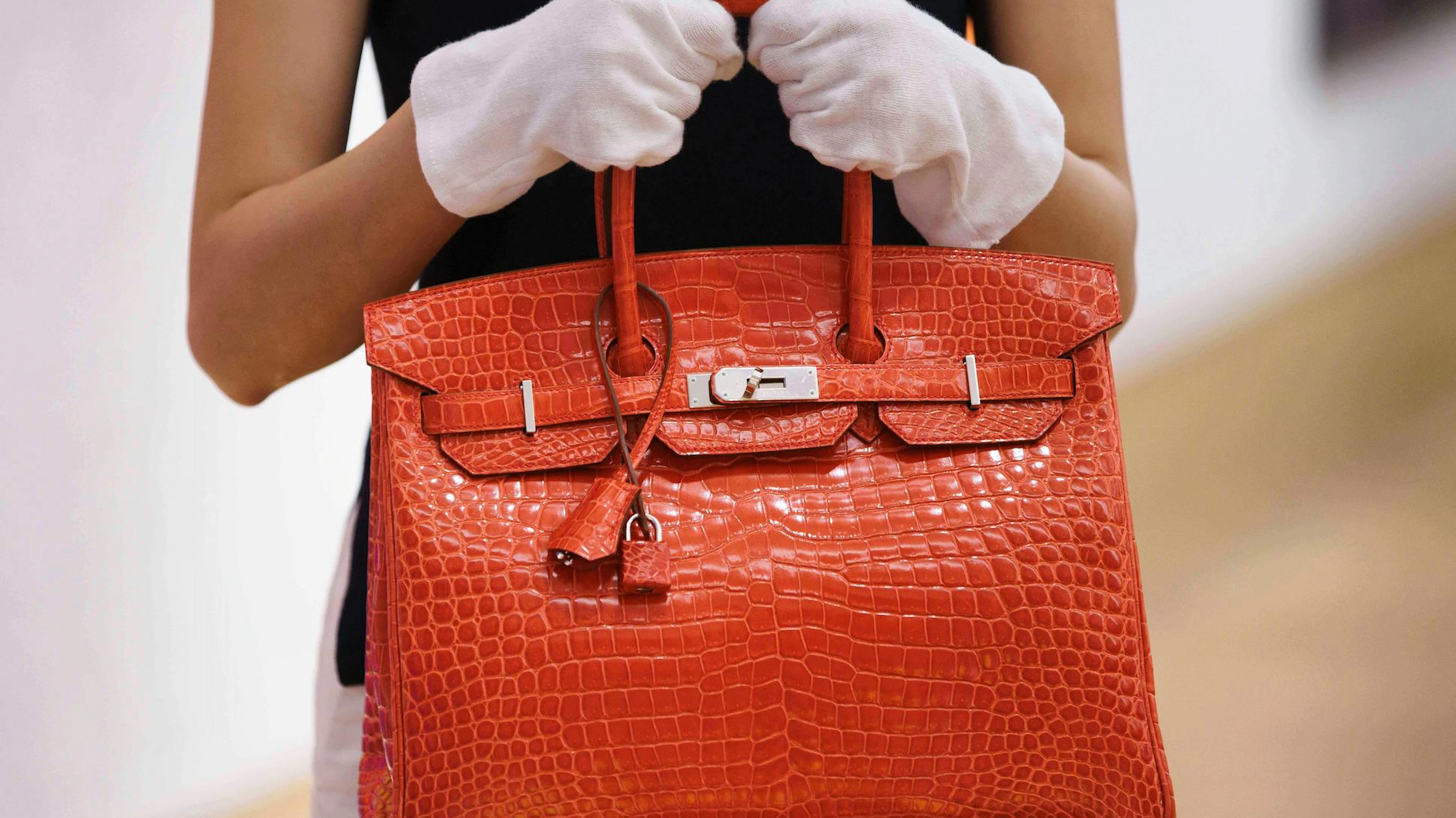 Il ne s'agit là pas de n'importe quel sac, mais du plus cher au monde. Il s'appelle Himalaya Niloticus Crocodile Diamond Birkin et est signé Hermès.