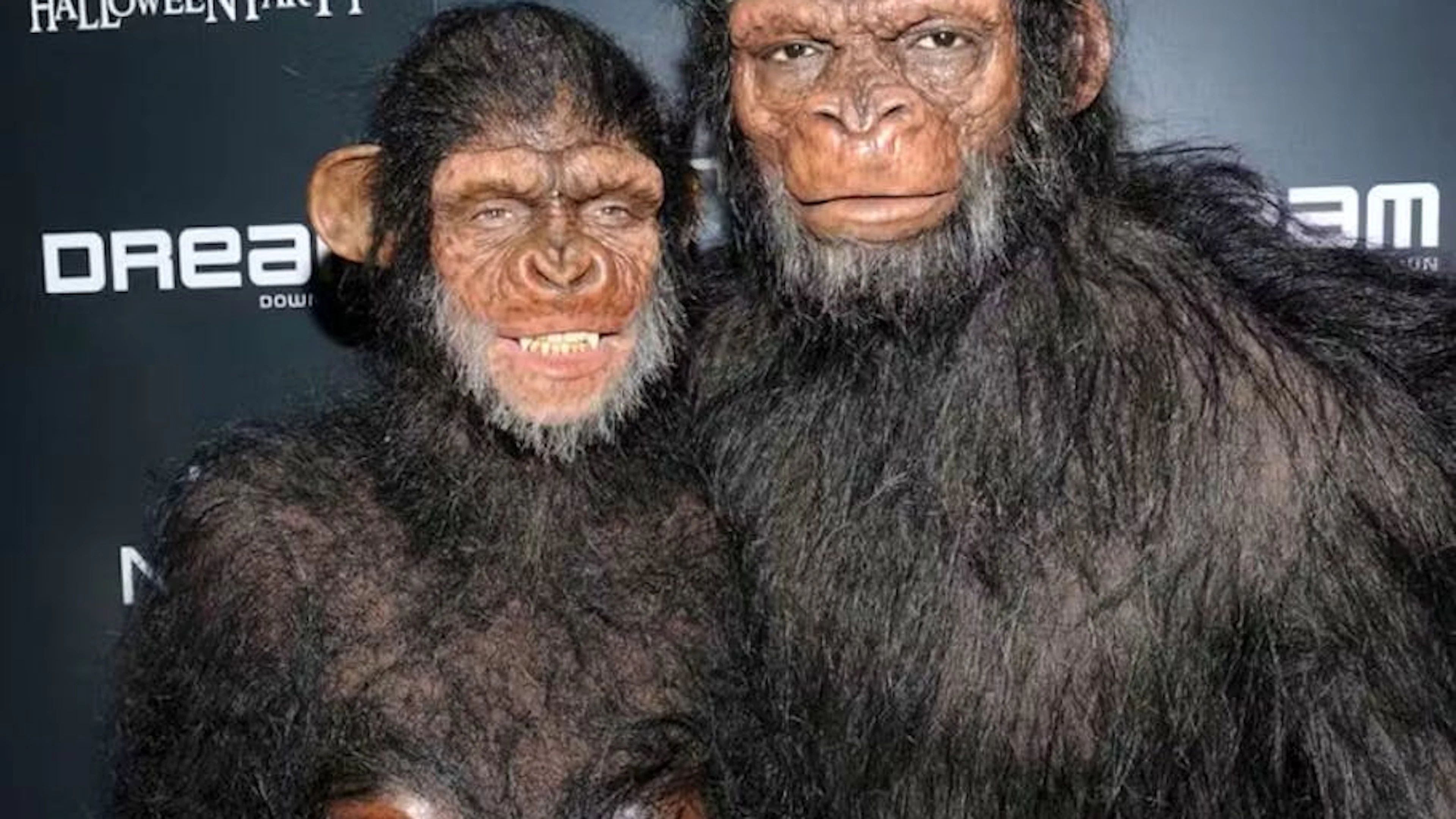 Ces photos de couple déguisé - comme celle-ci de 2011 - font partie du passé. Depuis que Heidi Klum et Seal sont séparés, Seal choisit ses propres déguisements qui sont certes bien moins créatifs.