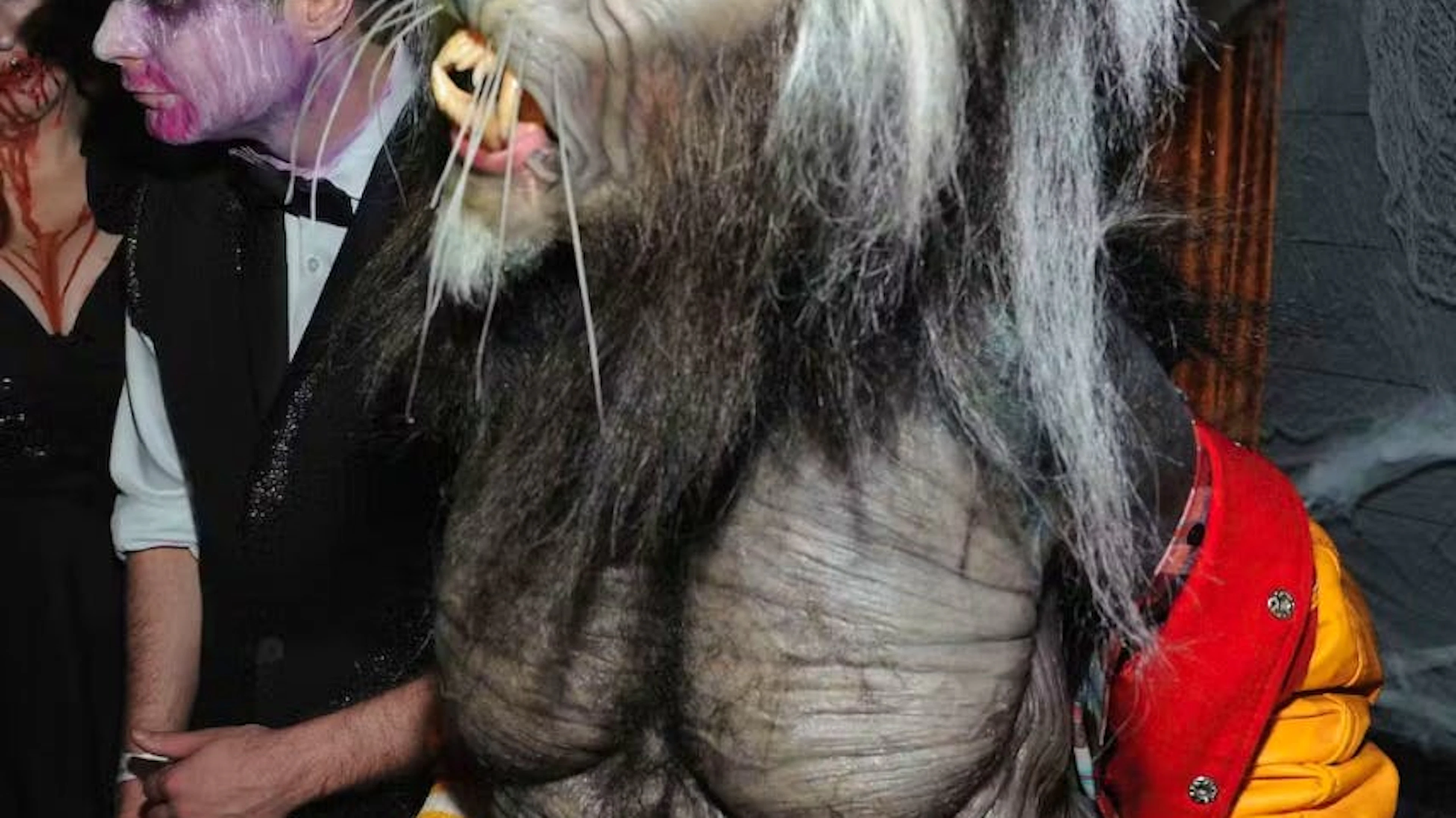 La reine de Halloween a célébré la fête de l'horreur comme il se doit: avec un déguisement qui a fait trembler ses invités. Heidi Klum et les zombies. Cliquez pour revoir ses looks Halloween plus ou moins effrayants mais toujours hyper originaux!