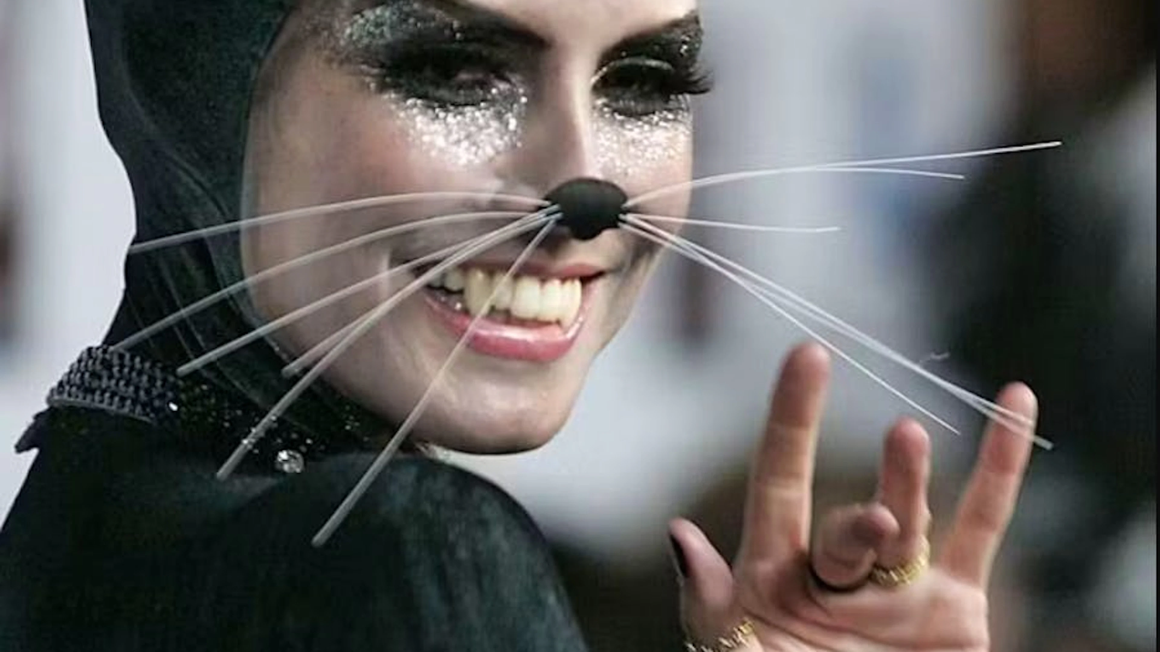 2007: un gentil chaton?