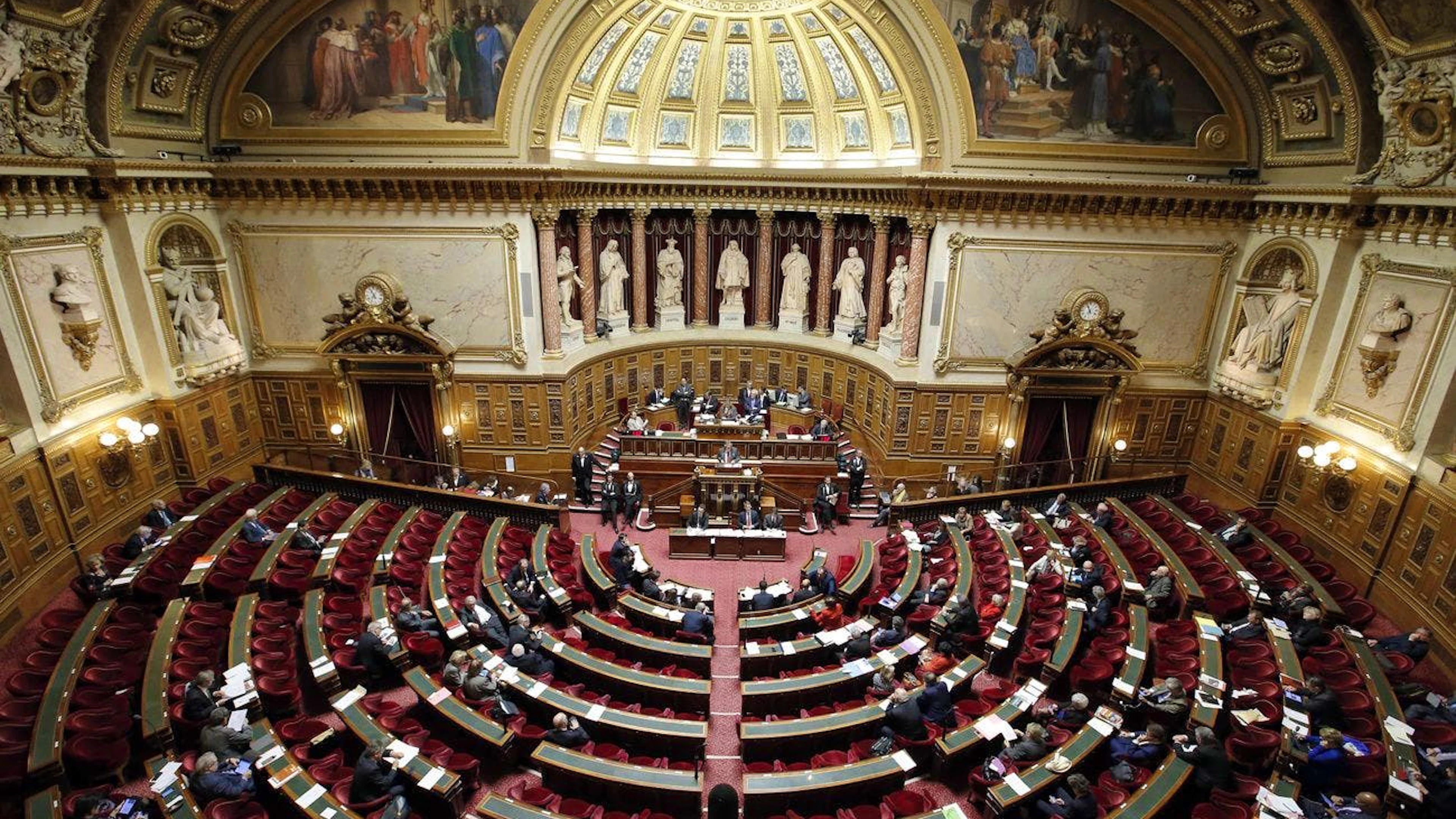 Le sénateur centriste est soupçonné d'avoir dilué de la MDMA à 91,1% pure dans un verre de champagne pour en faire consommer à sa collègue du Parlement afin, d'après l'ordonnance des juges dont l'AFP a eu connaissance, «de commettre un viol ou une agression sexuelle».