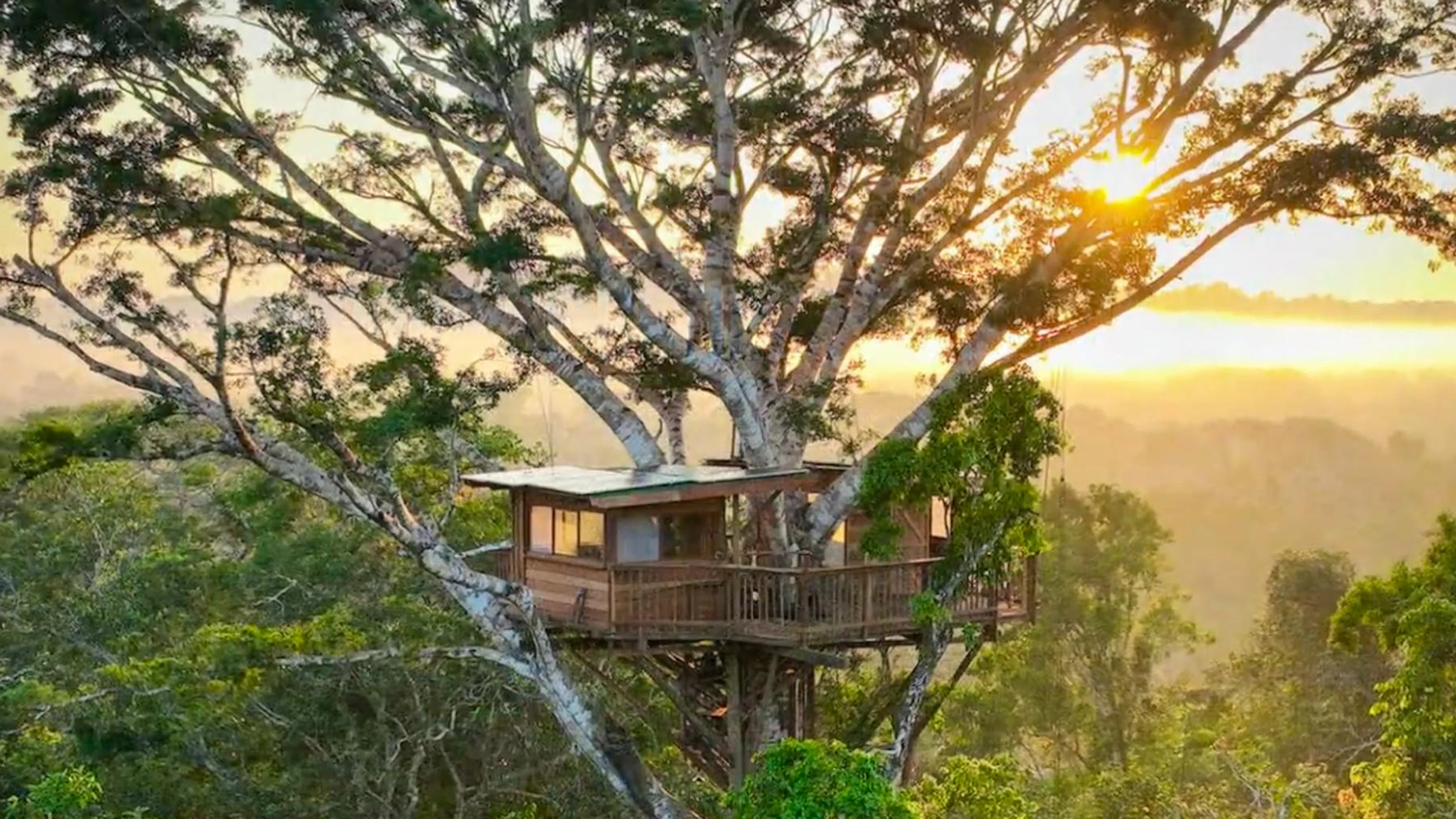 Une cabane de luxe au sommet de la forêt amazonienne!