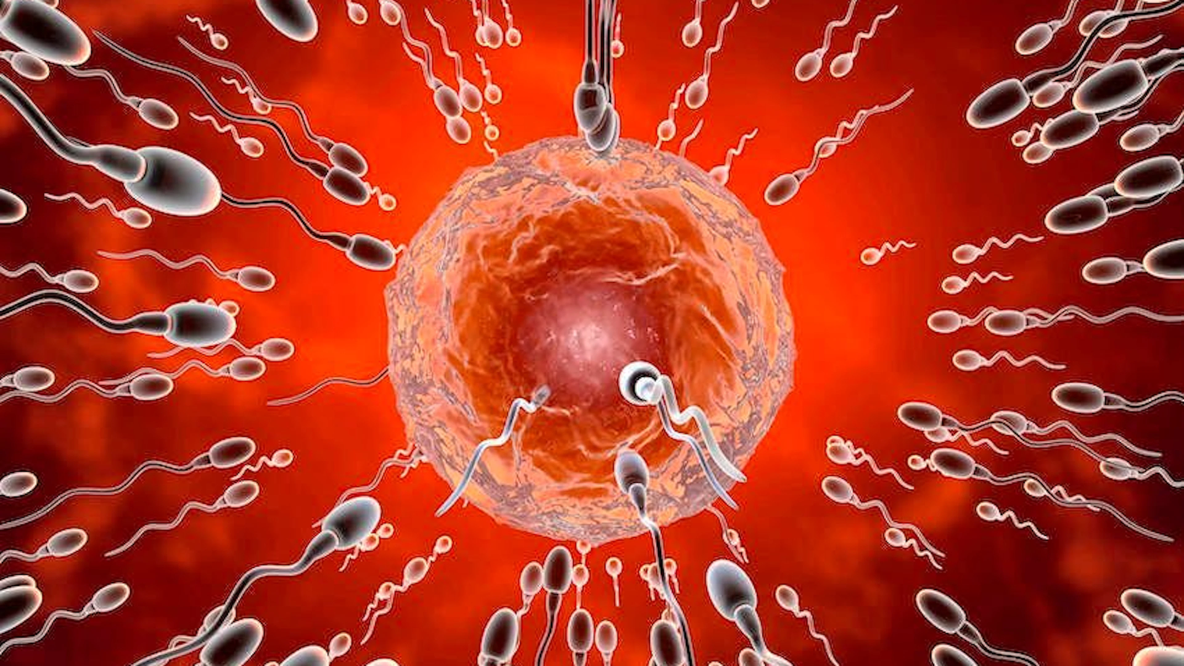 Weil die Qualität seines Spermas anscheinend zu wünschen übrig liess, mischte ein Brite sein Sperma kurzerhand mit dem seines Vaters, um selbst Vater werden zu können.