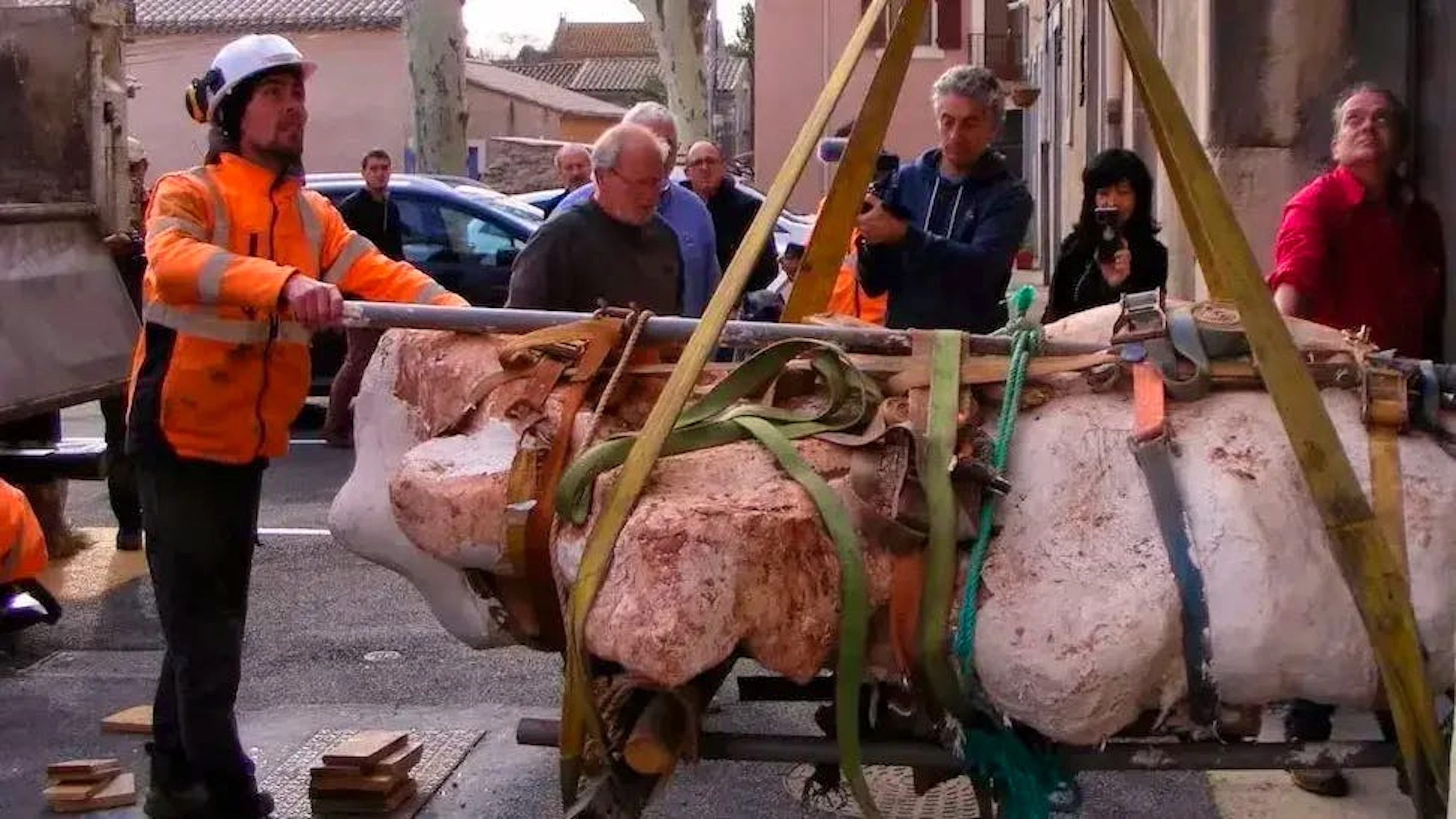 Ecco quanto erano enormi le vertebre del collo del titanosauro.