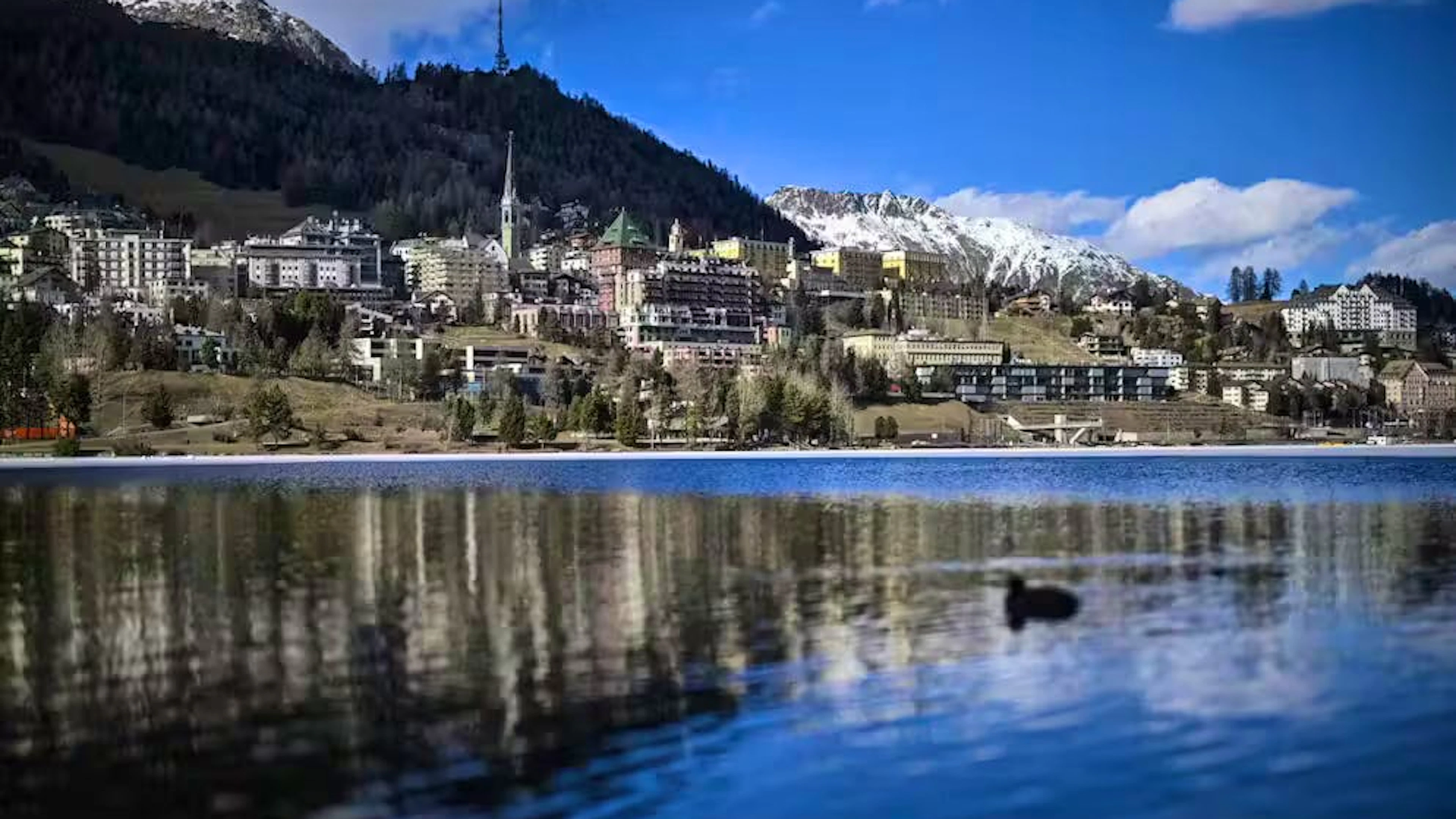 Des méduses d'eau douce ont été détectées pour la première fois dans le lac de Saint-Moritz.