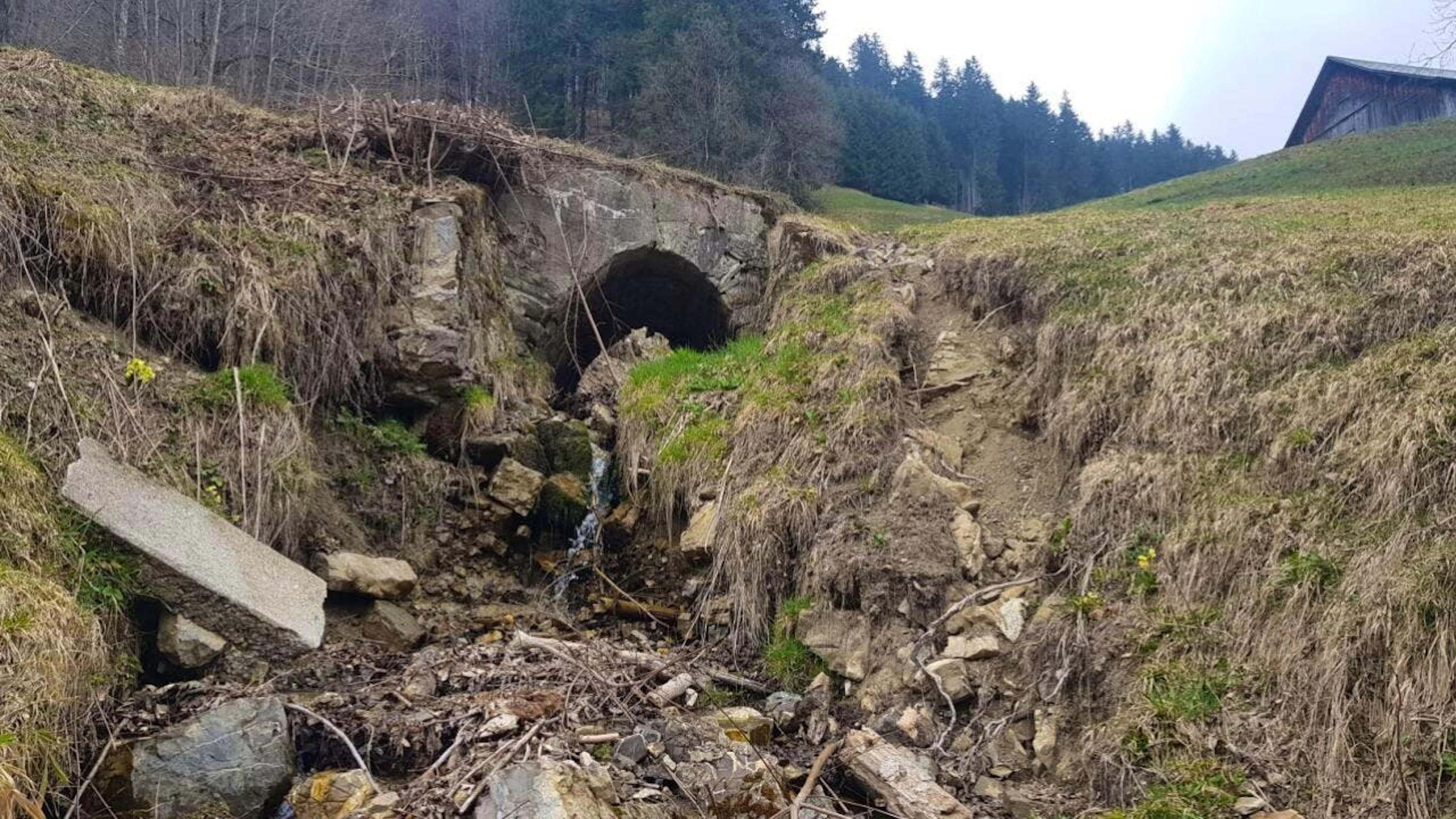 Der Geissbergbach in seinem aktuellen Zustand.