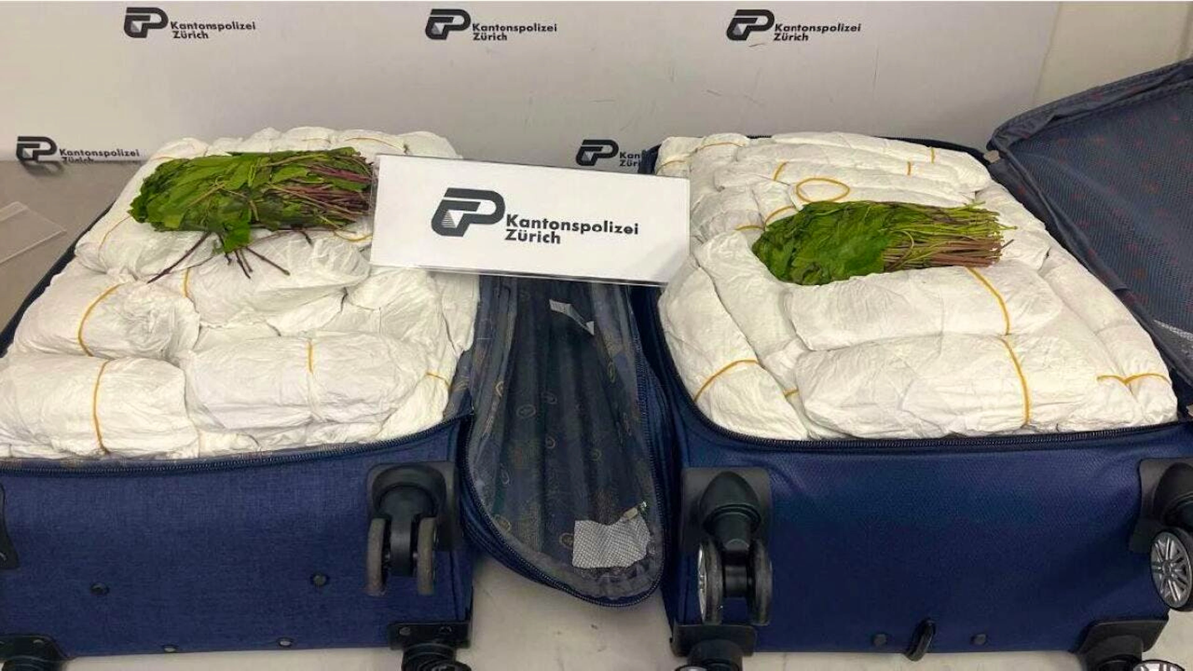 Statt Kleider befanden sich 40 Kilogramm Khat im Gepäck.