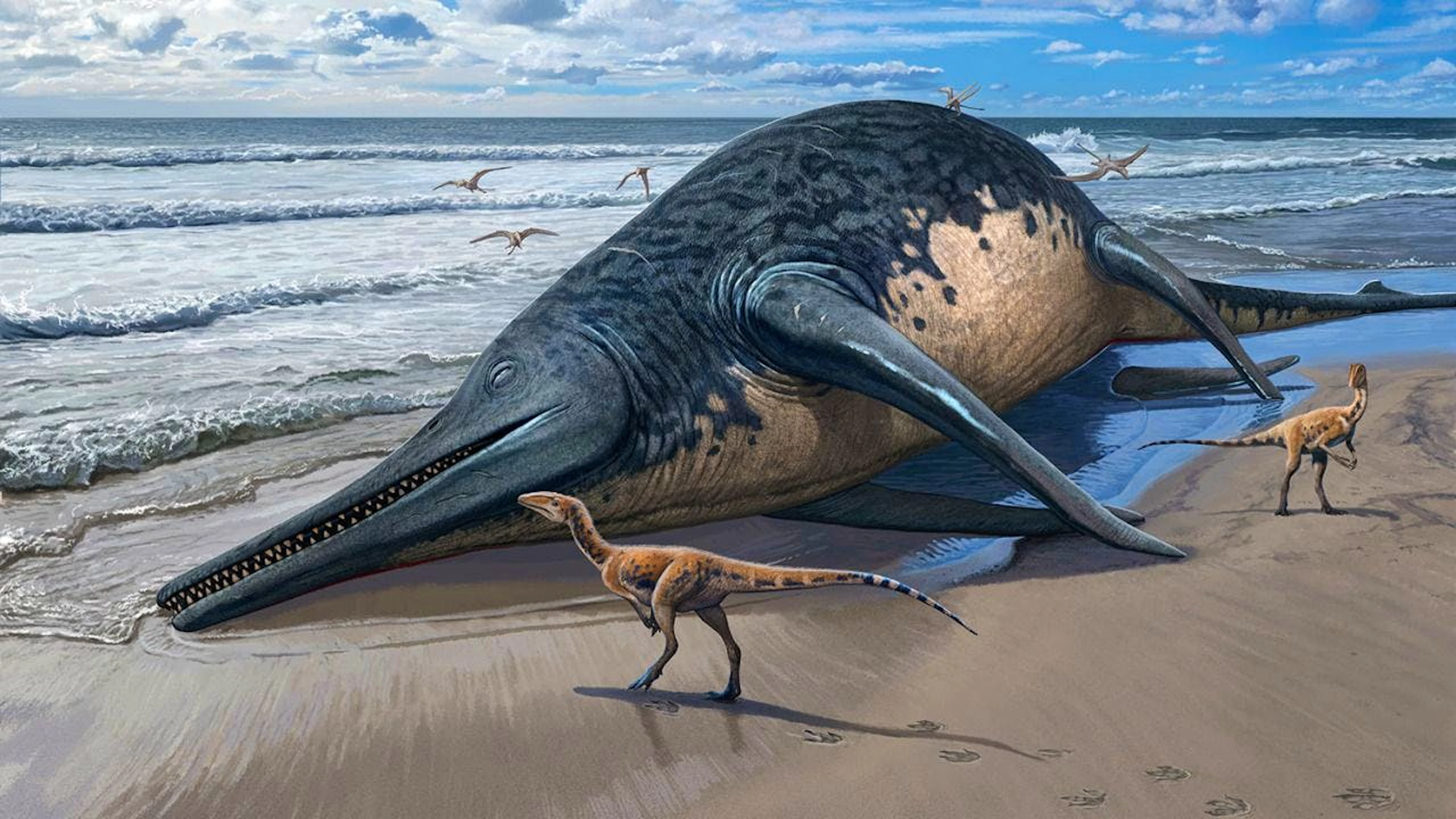 Die künstlerische Darstellung zeigt einen angeschwemmten Ichthyotitan severnensis-Kadaver am Strand.