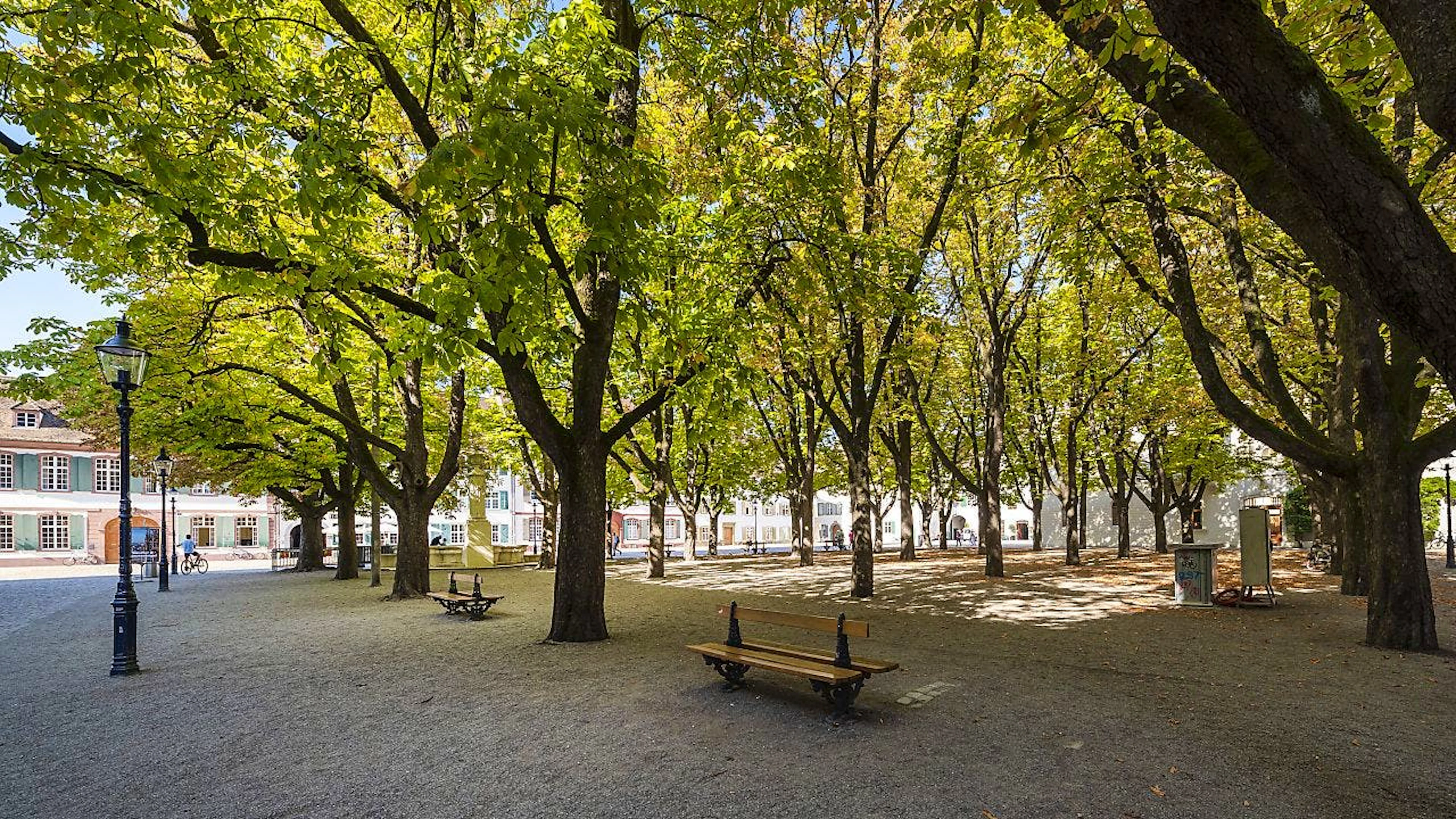 Die Motion für ein gesundes Stadtklima fordert mehr Grünflächen und Bäume in Basel. (Archivbild)