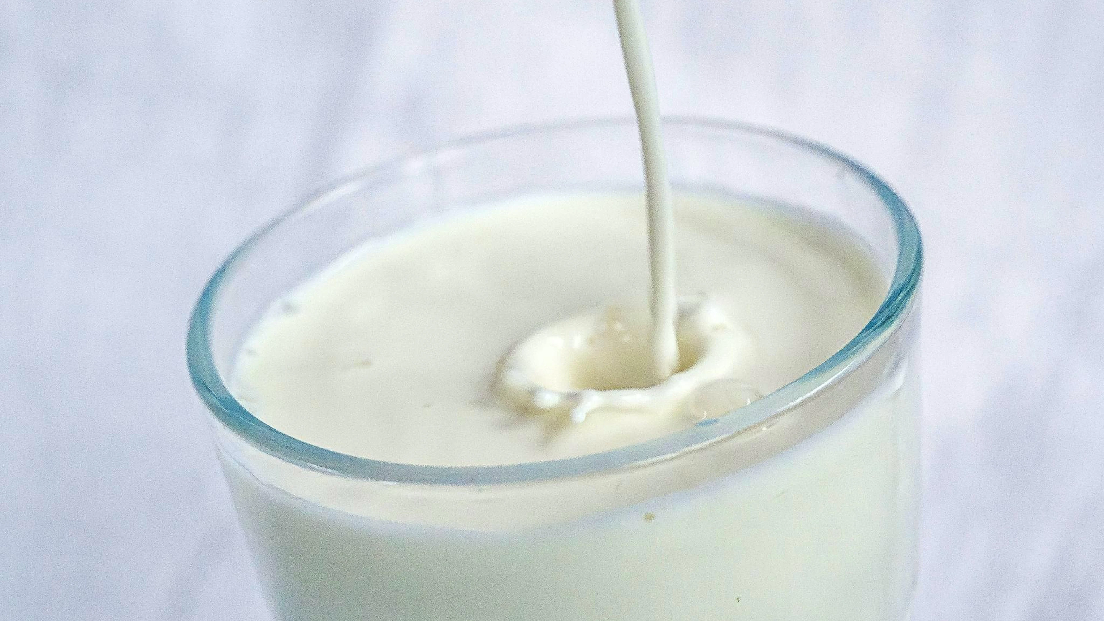 Der alte Mythos, Milch würde bei Gewitter schneller verderben, hält sich hartnäckig. Früher glaubten Menschen, elektrische Ladungen in der Luft machten sie sauer – in Zeiten ohne Kühlschränke eine plausible Erklärung. Tatsächlich war aber wohl die Hitze schuld, die typischerweise vor Sommergewittern liegt und Milch schneller kippen lässt. Heute sorgt der Kühlschrank dafür, dass Gewitter der Milch völlig egal sind.