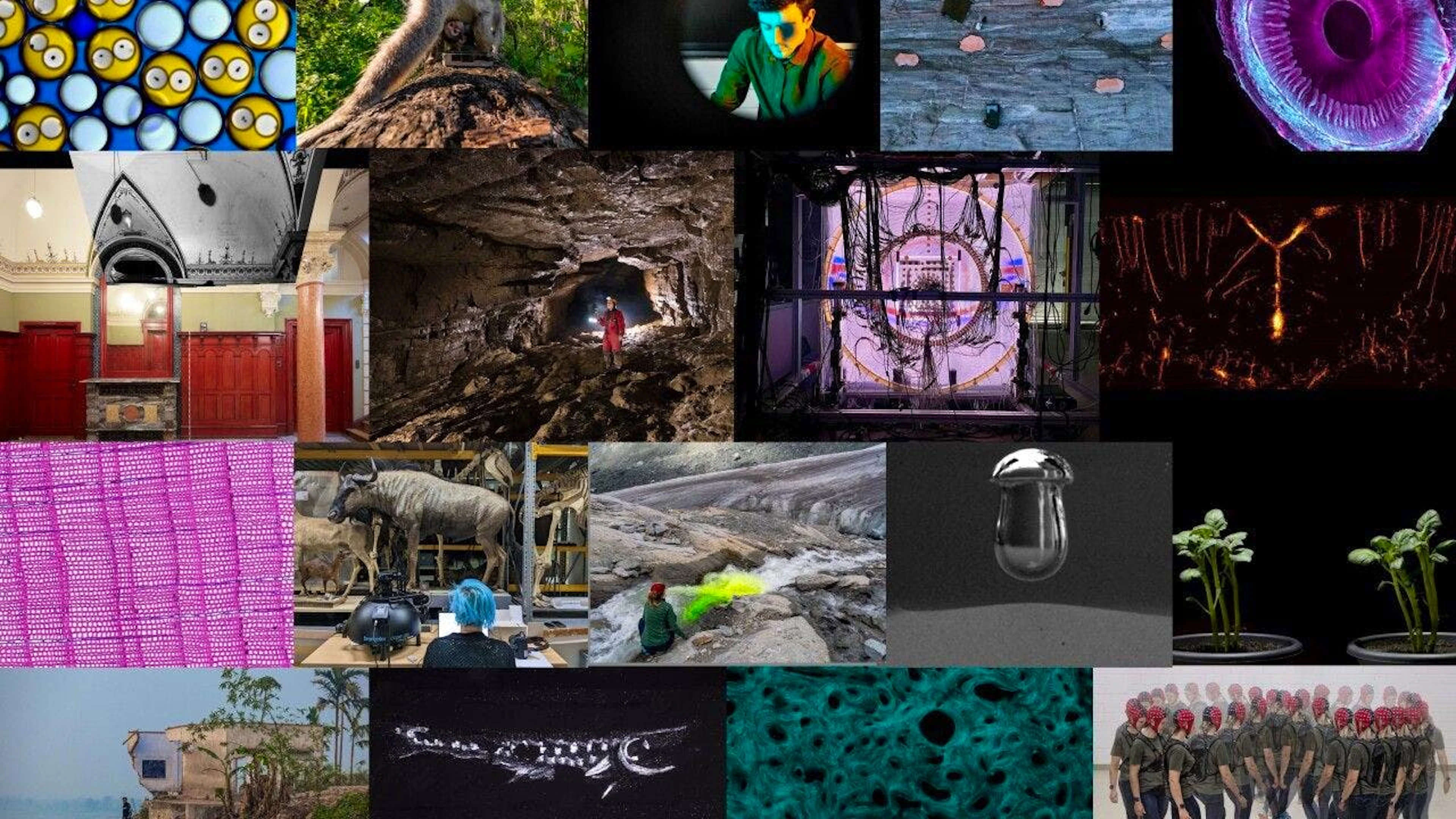 Dix-huit œuvres ont été primées dans le cadre du Concours FNS d’images scientifiques 2024.