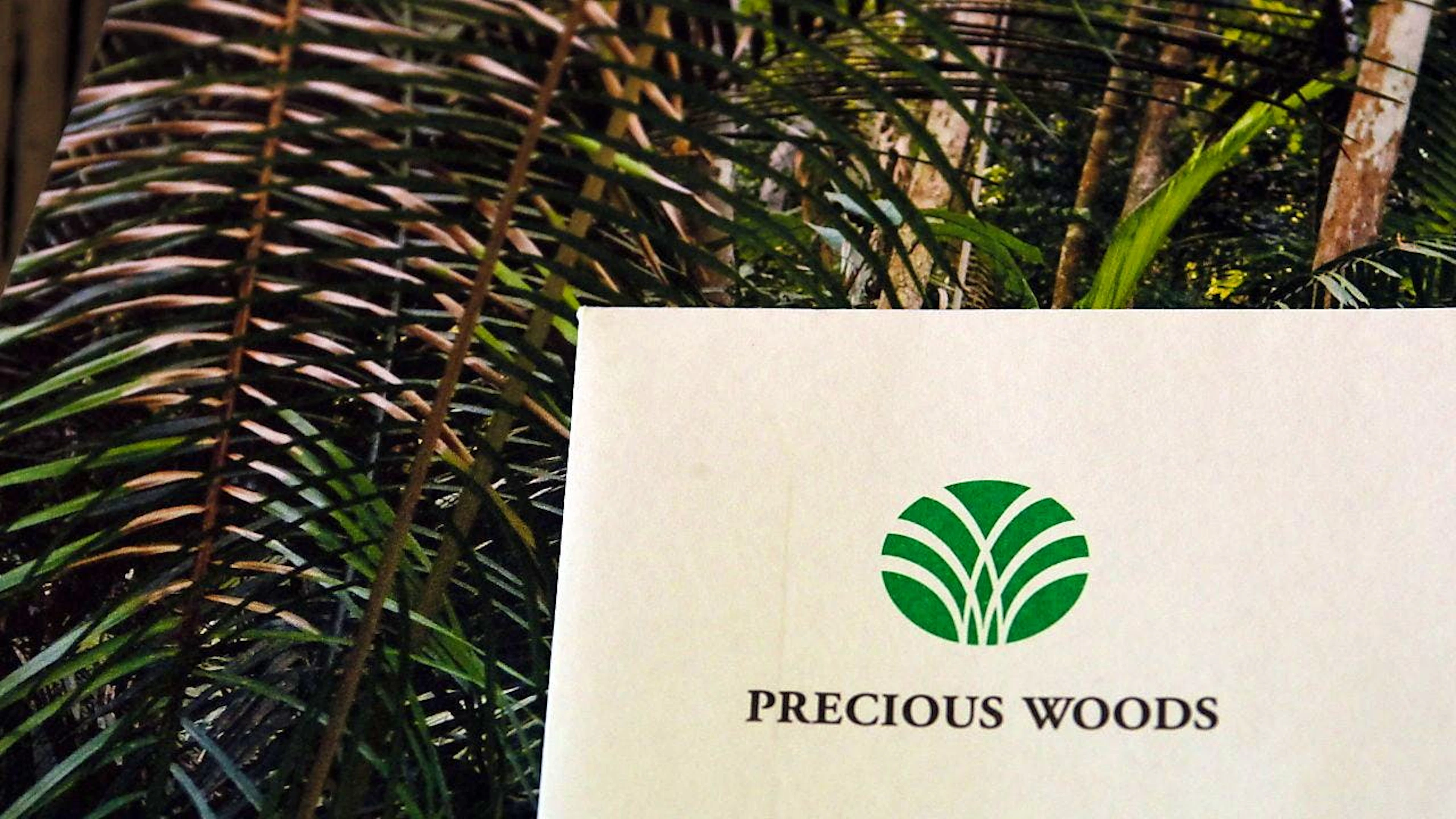 Der Holzverarbeiter Precious Woods in Zug präsentierte sein Geschäftsjahr 2023. (Archivbild)