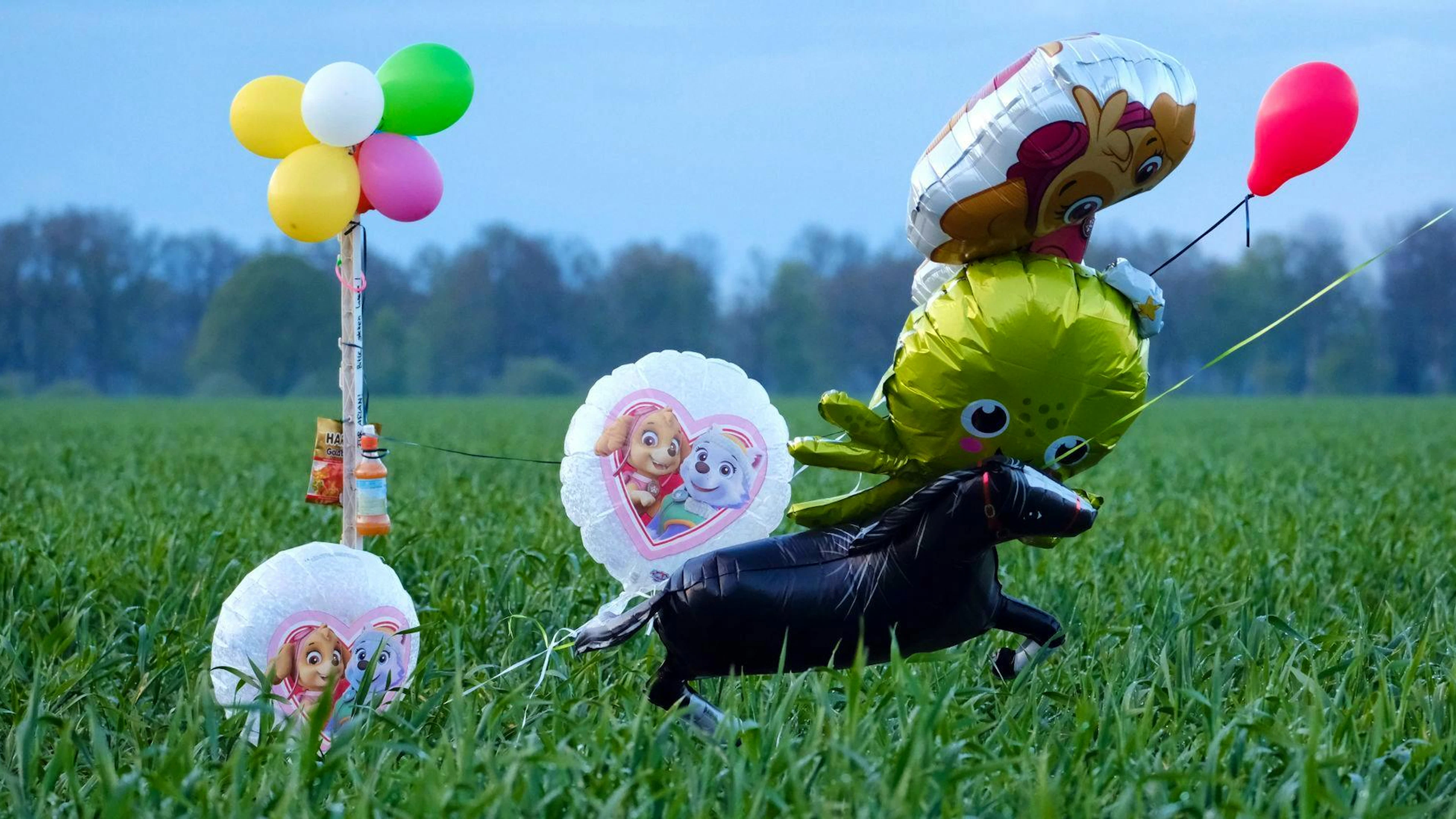 Ballons und Süssigkeiten auf einem Feld: Von einem vermissten sechs Jahre alten Jungen aus dem niedersächsischen Bremervörde fehlt noch immer jede Spur.