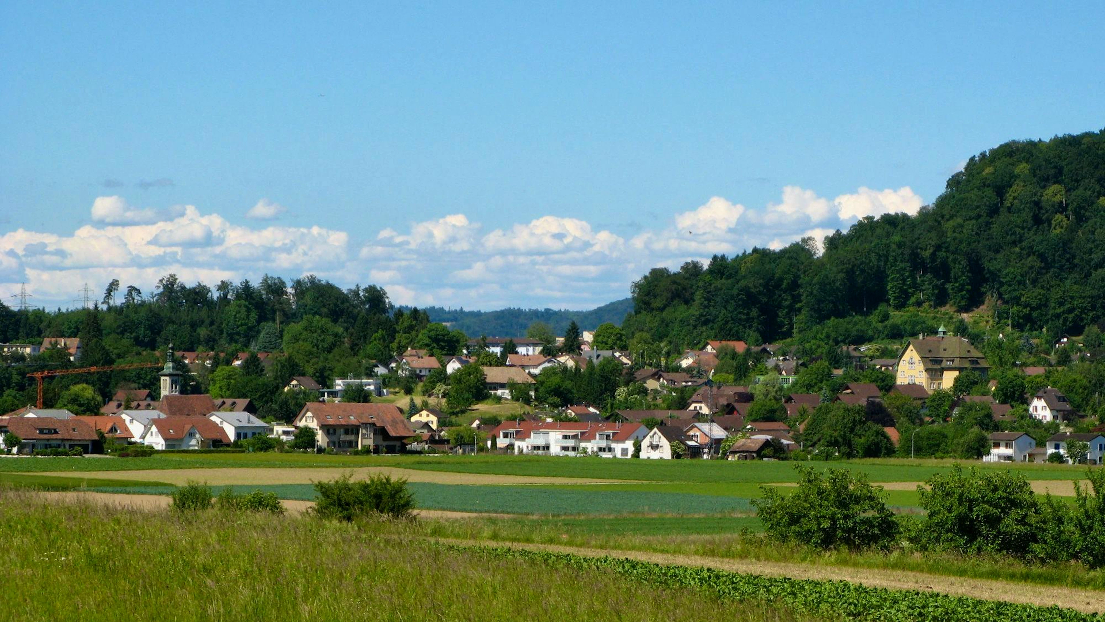 Blick auf Othmarsingen AG.