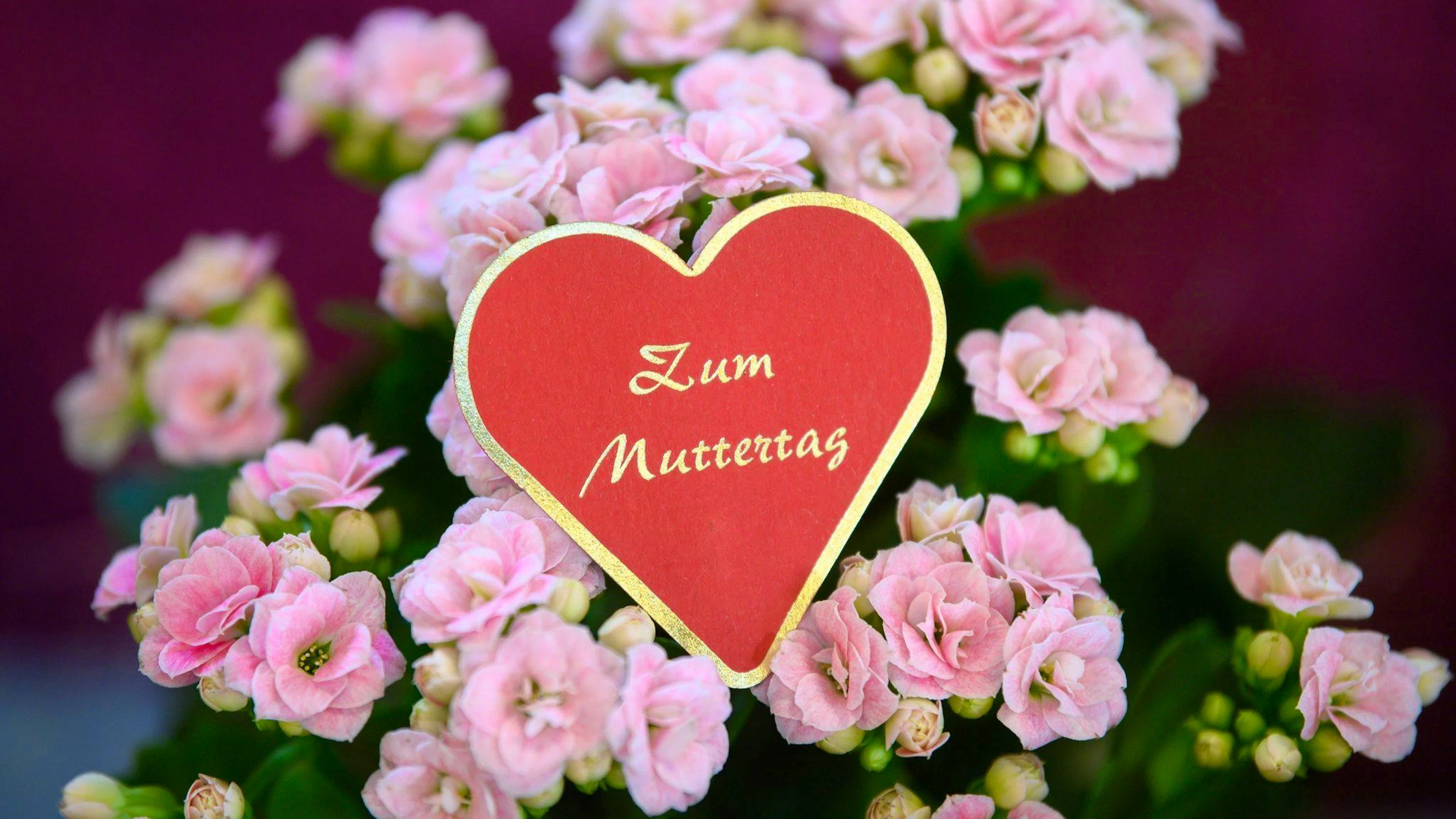Blumen zählen zu den beliebtesten Geschenken zum Muttertag. Nicht immer hatte aber dieser Feiertag die gleiche Bedeutung wie wir sie heute kennen.