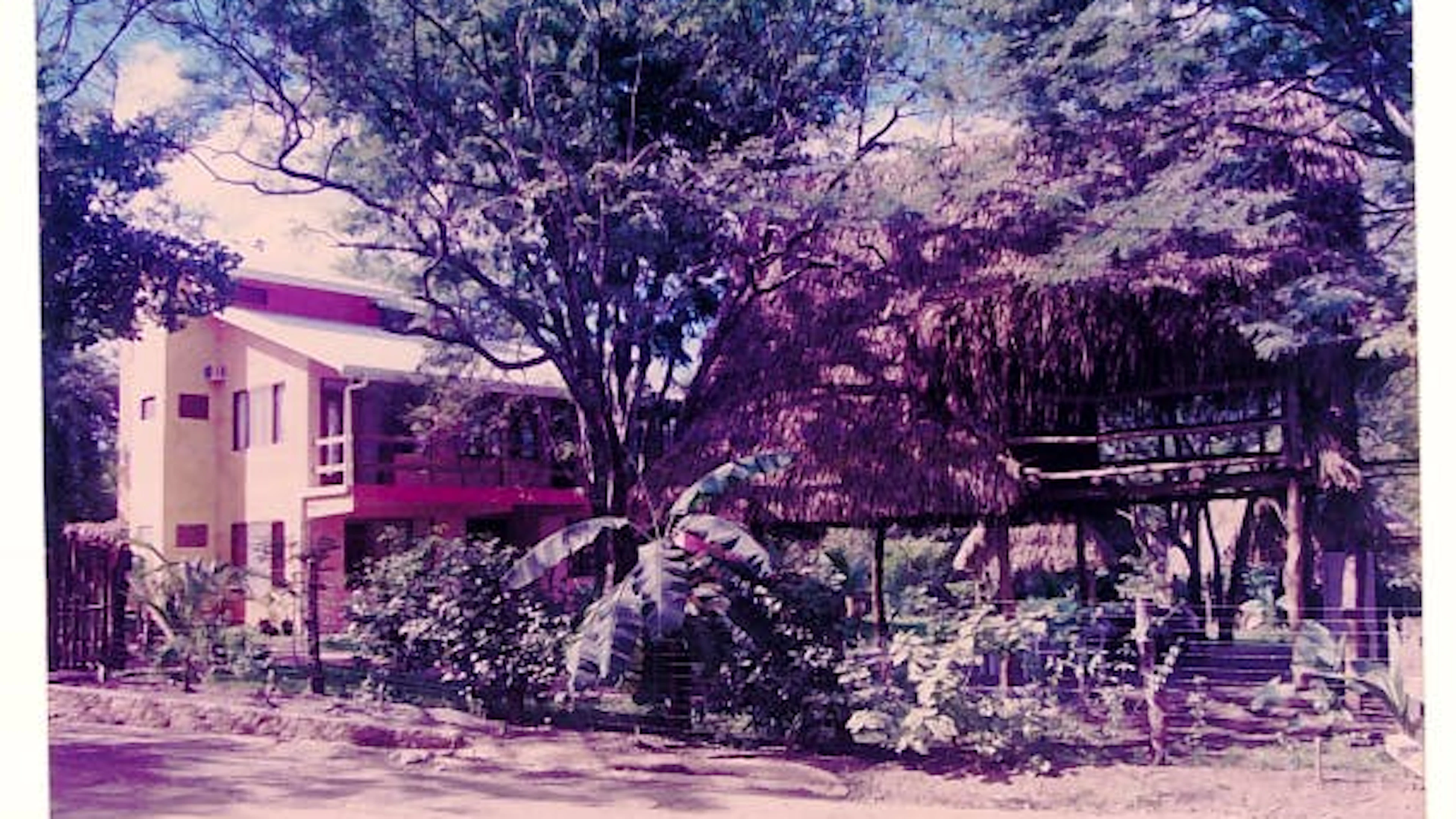 Anfangs bestand die Schule aus einem einzigen Gebäude. Wayra war die erste Sprachschule der gesamten Provinz Guanacaste.