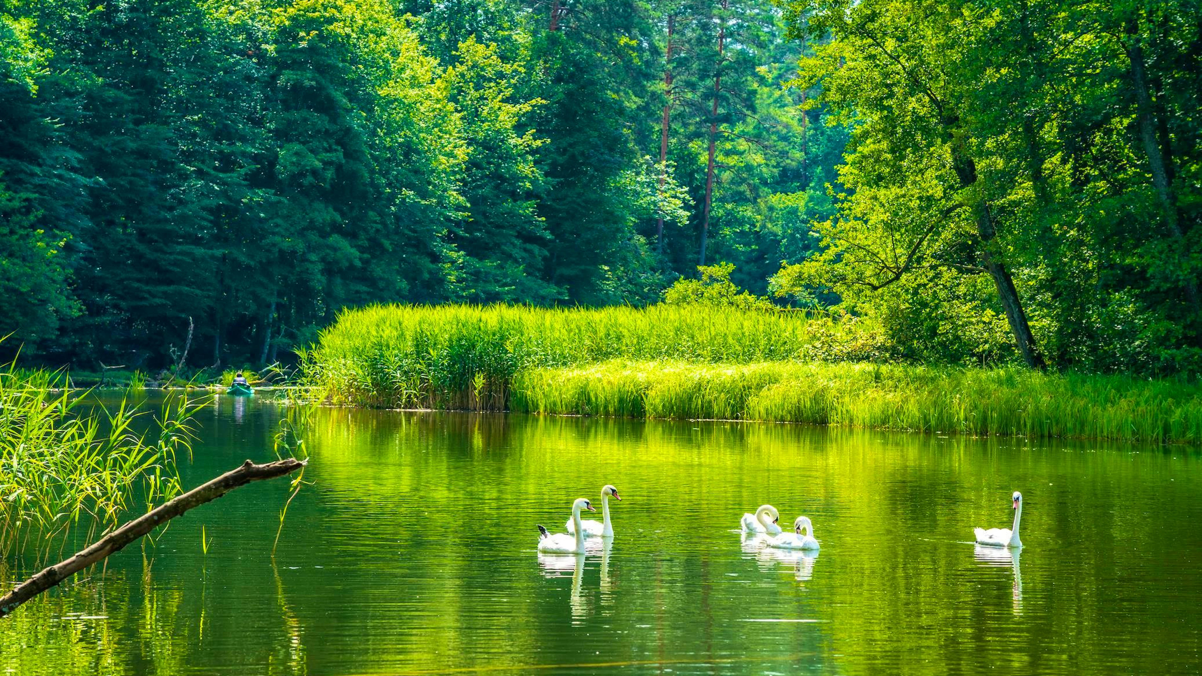 La réserve de biosphère des lacs de Mazurie de l'Unesco est un modèle de nature idyllique en Pologne. Dans ce pays d'Europe centrale, on passe une nuit au camping pour 18,04 euros.