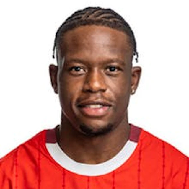 Portrait of Denis Zakaria