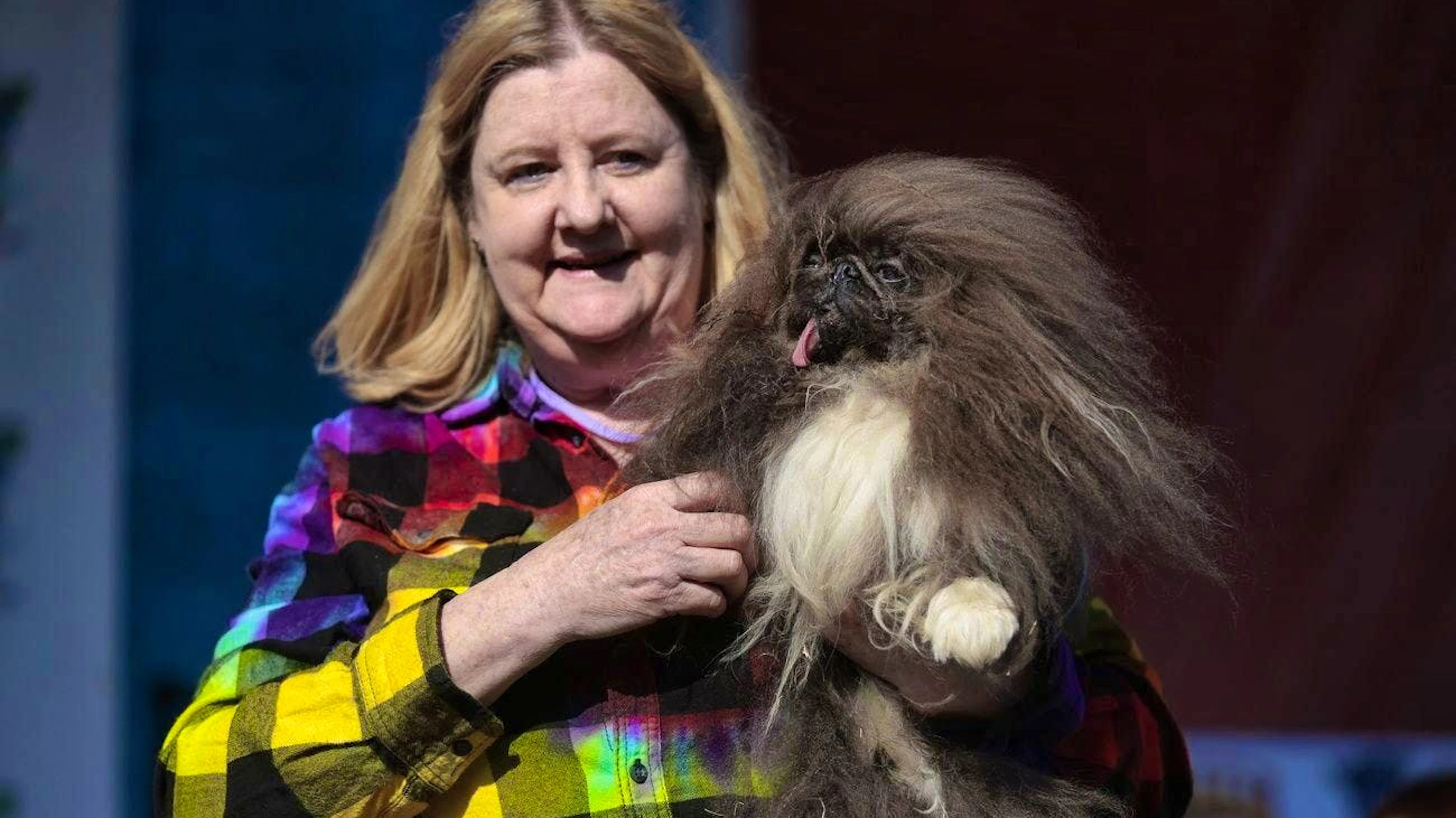 Proud winner: Wild Thang, here with his owner Ann Lewis, is officially the ugliest dog in the world. (EPA/JOHN G. MABANGLO)